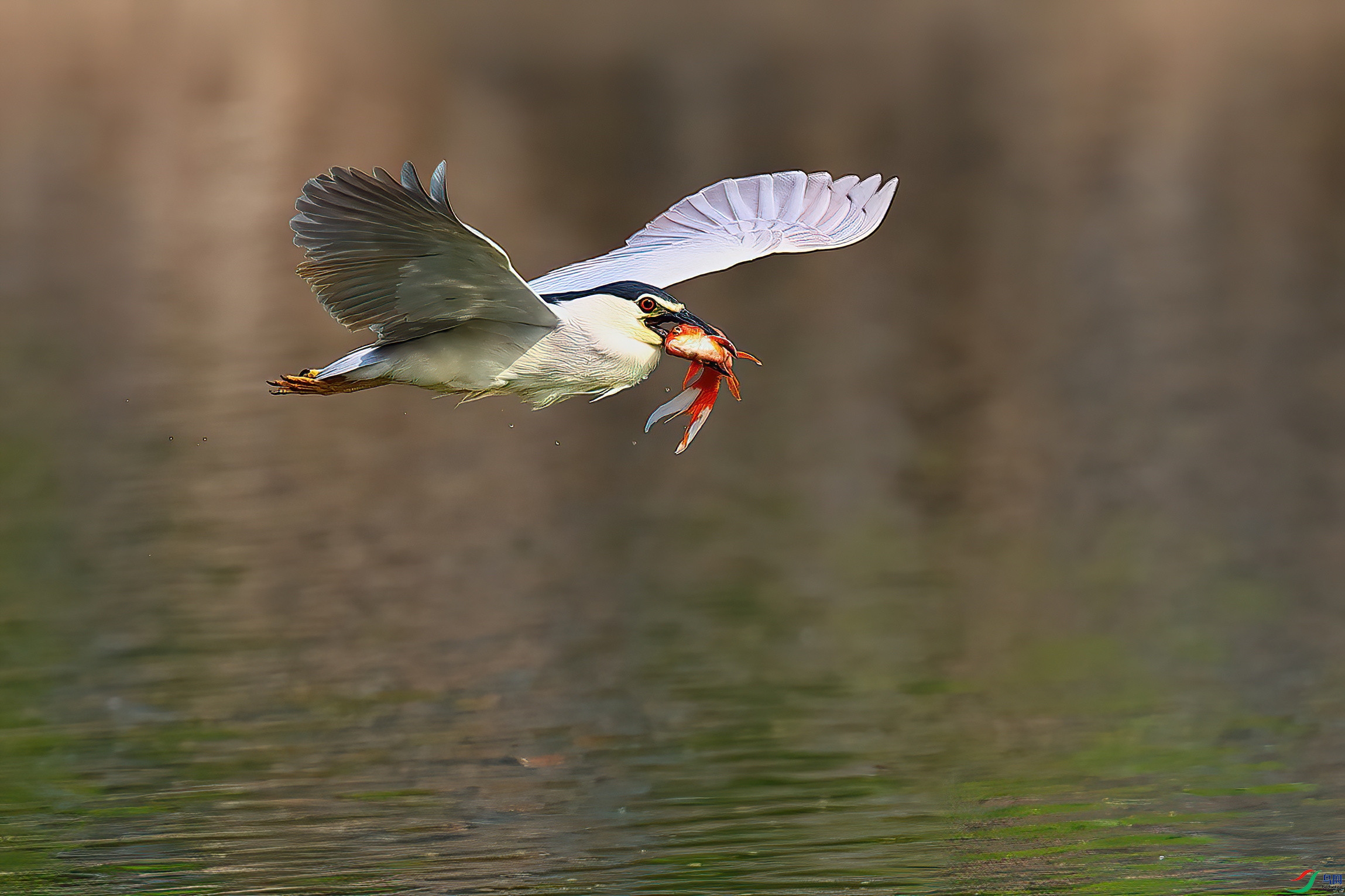 �������