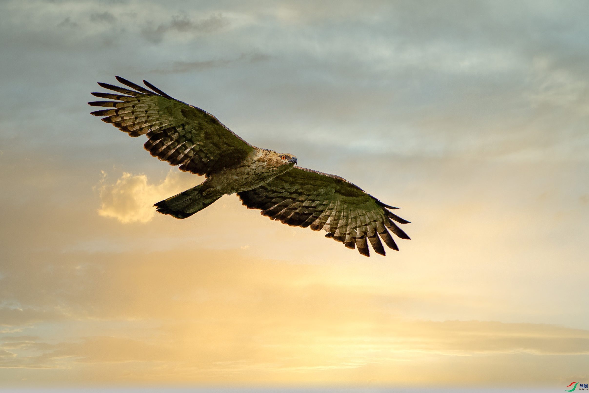 4C4A8631-�༭.jpg