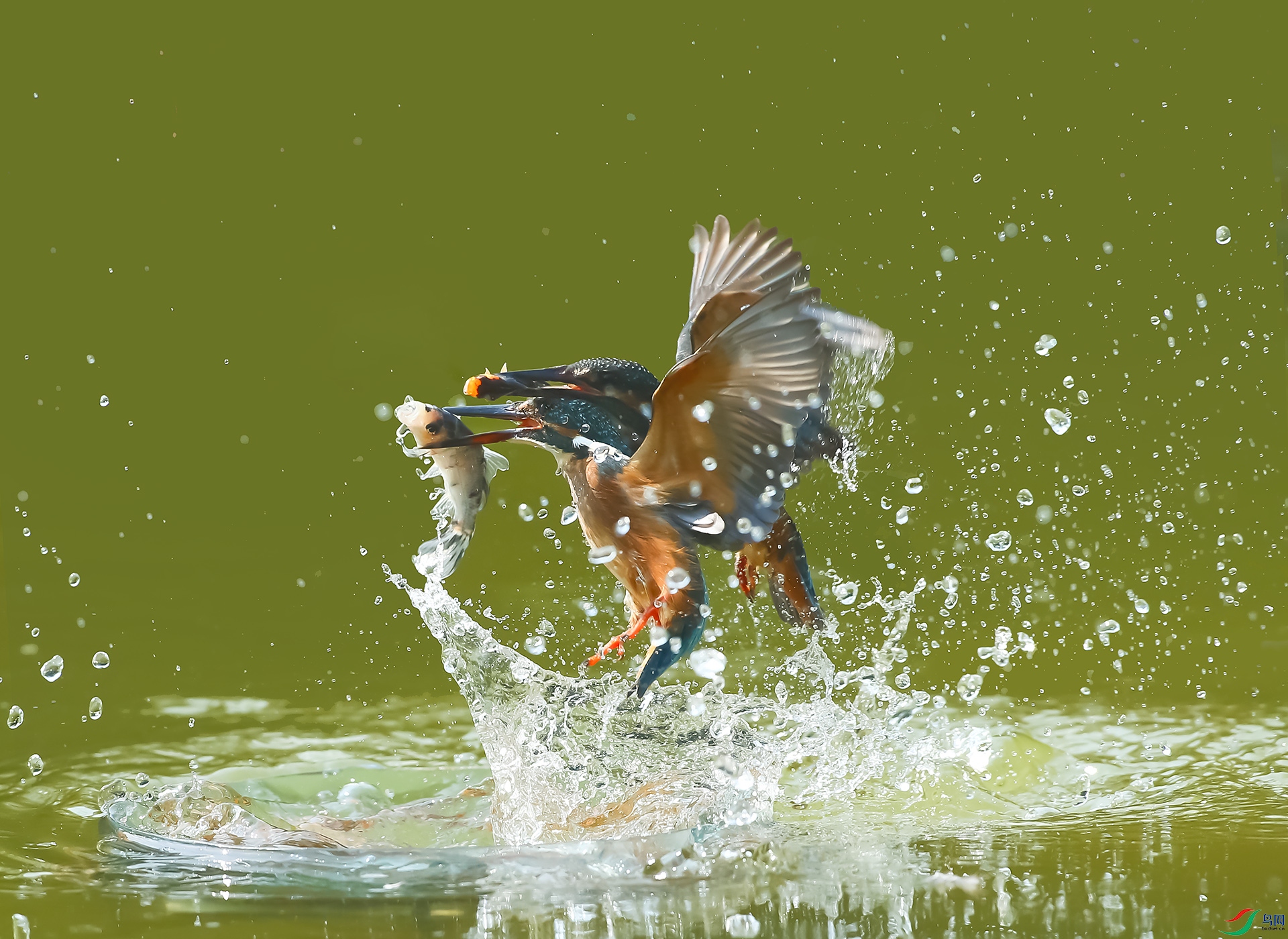 DM8W4588 ����.jpg