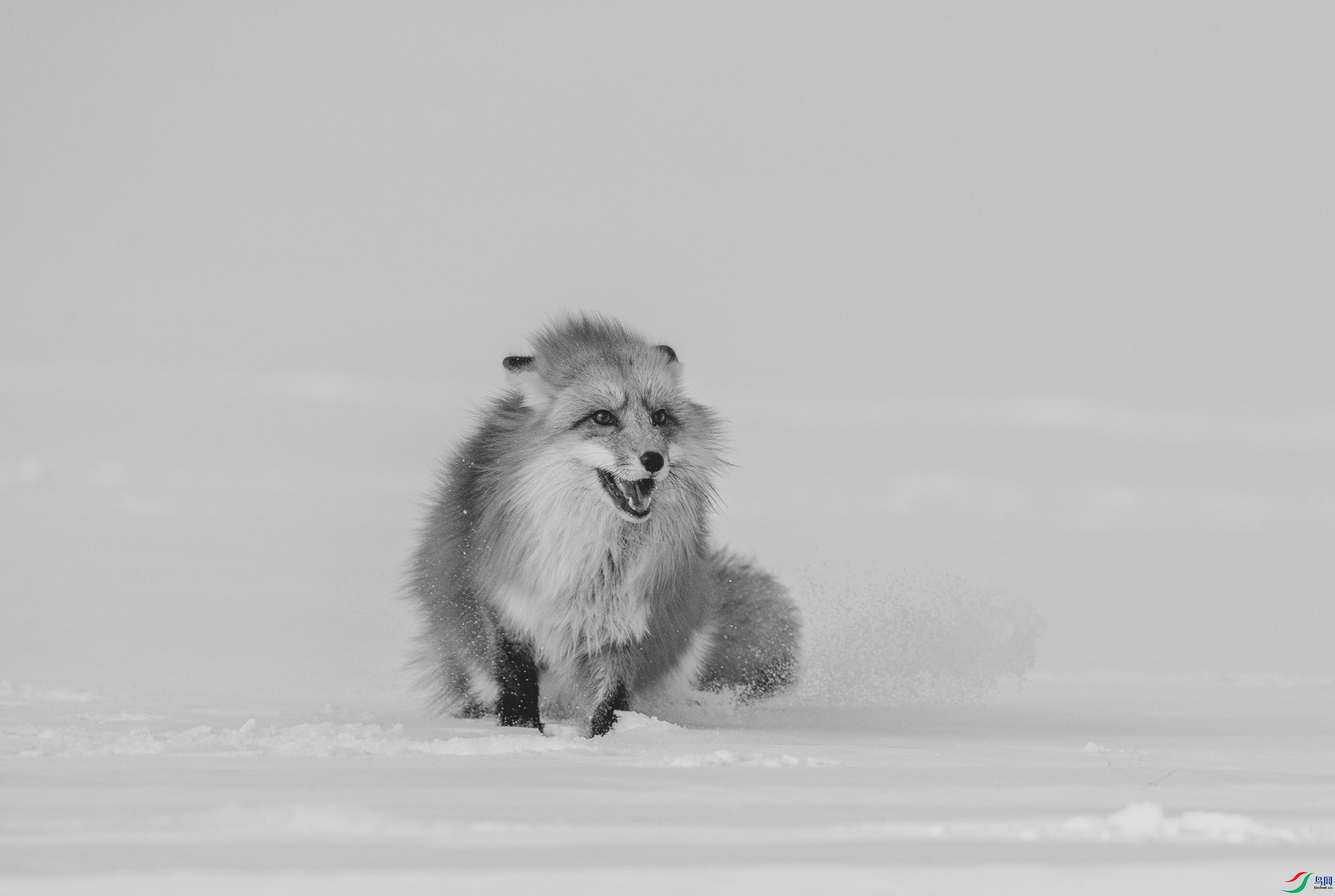 AC3I1723 ����_����.jpg