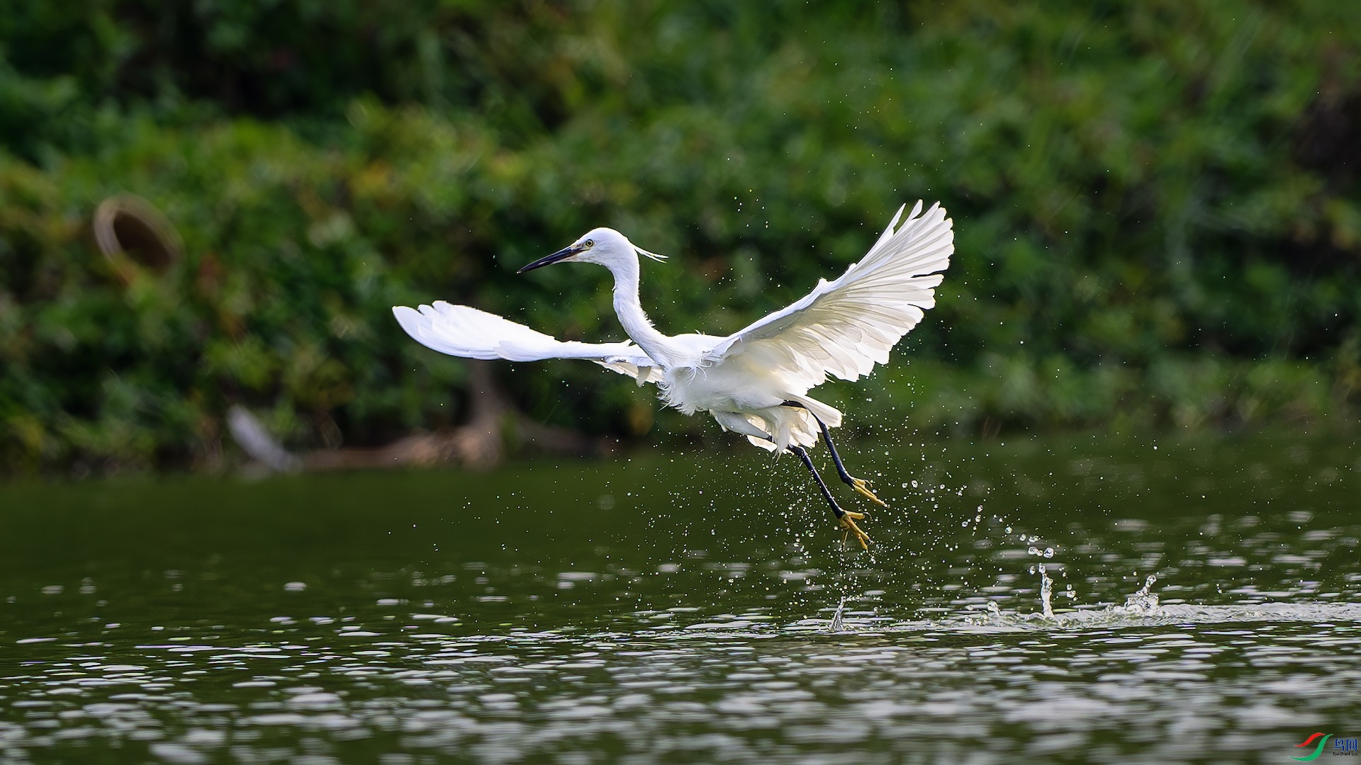 1_XXL0851-����ǿ-NR ����.jpeg