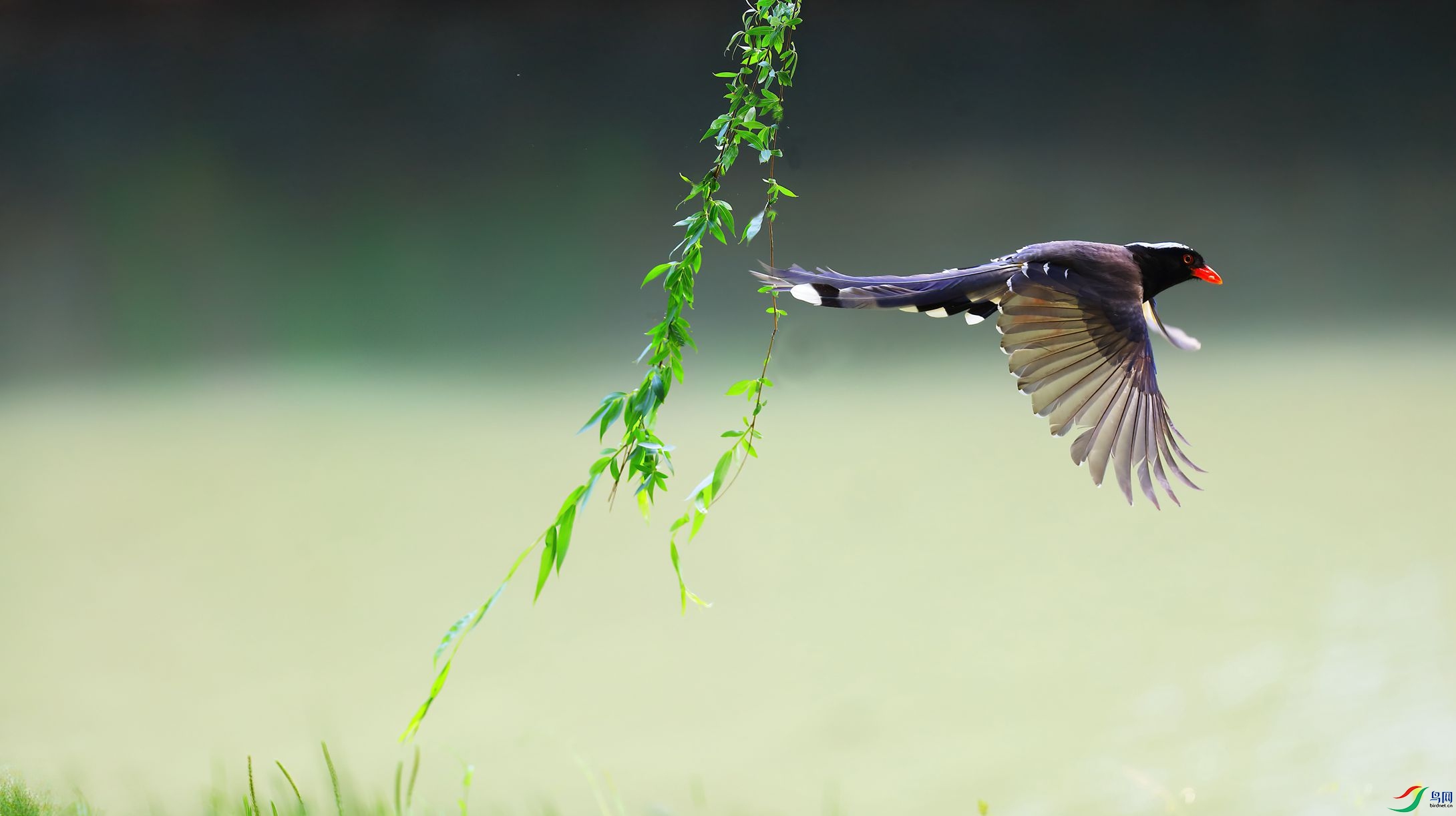B43I3496-SharpenAI-Motion.jpg