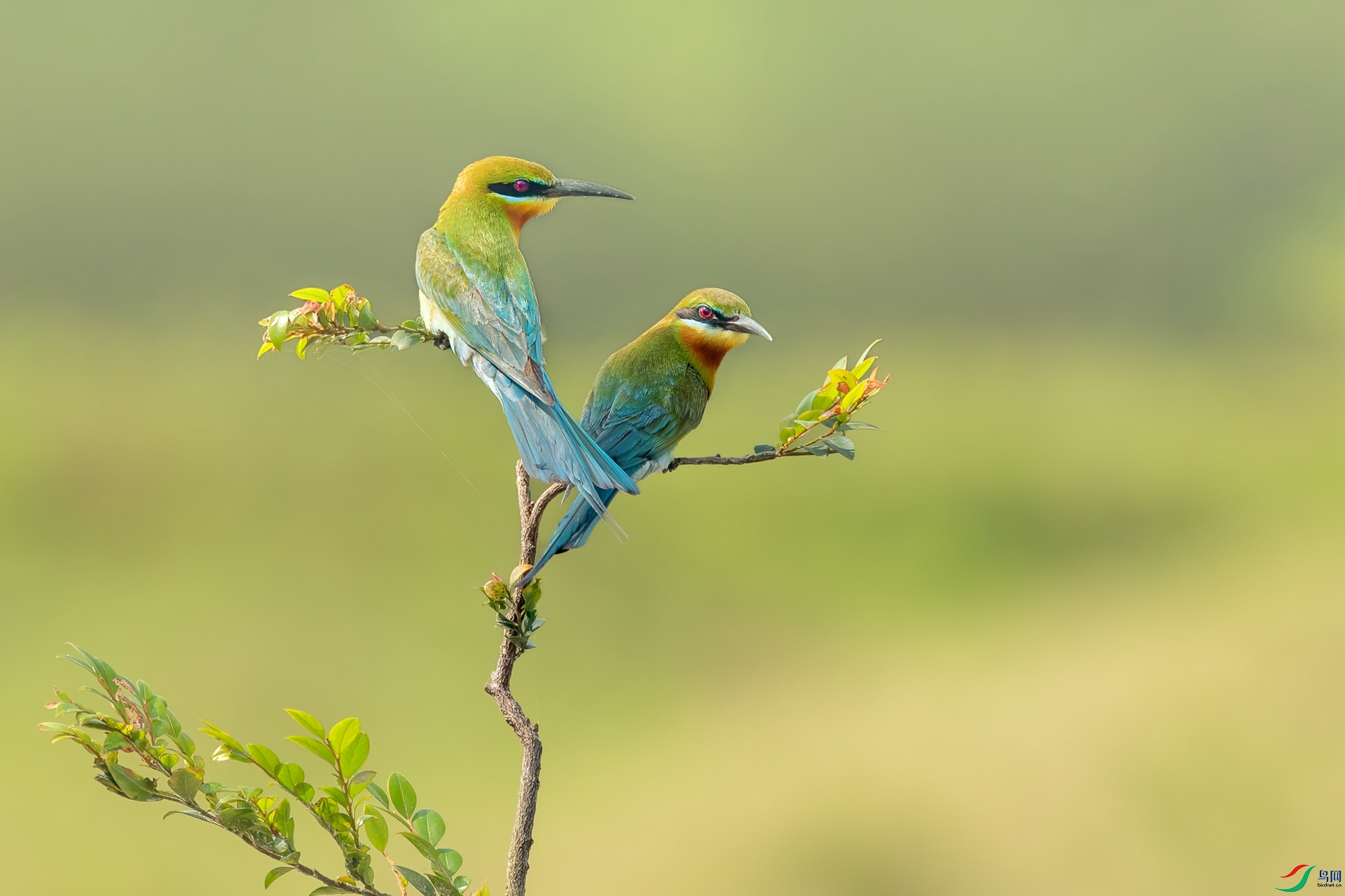 B86I6316 _����.jpg