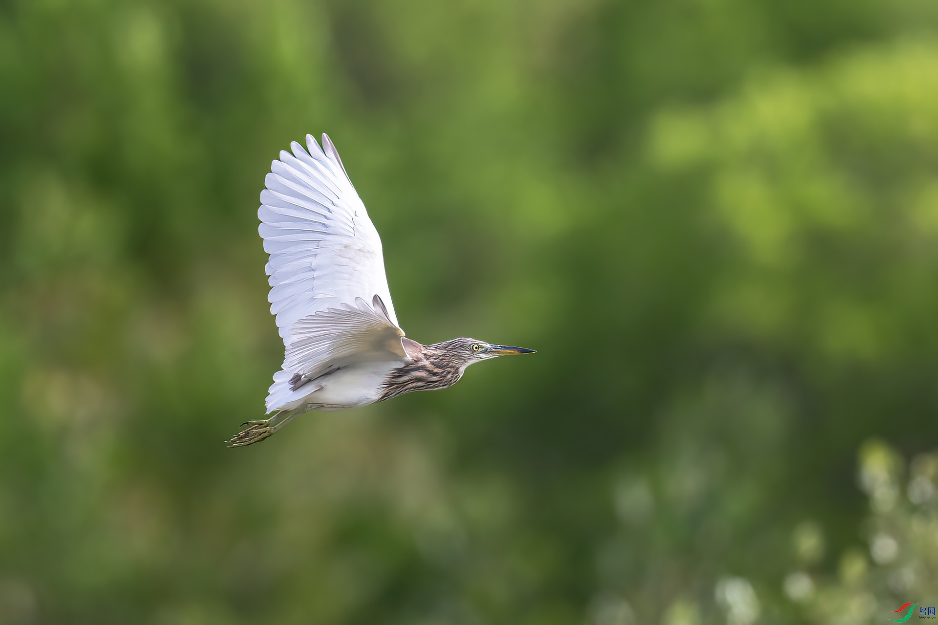 DSC_0479.jpg