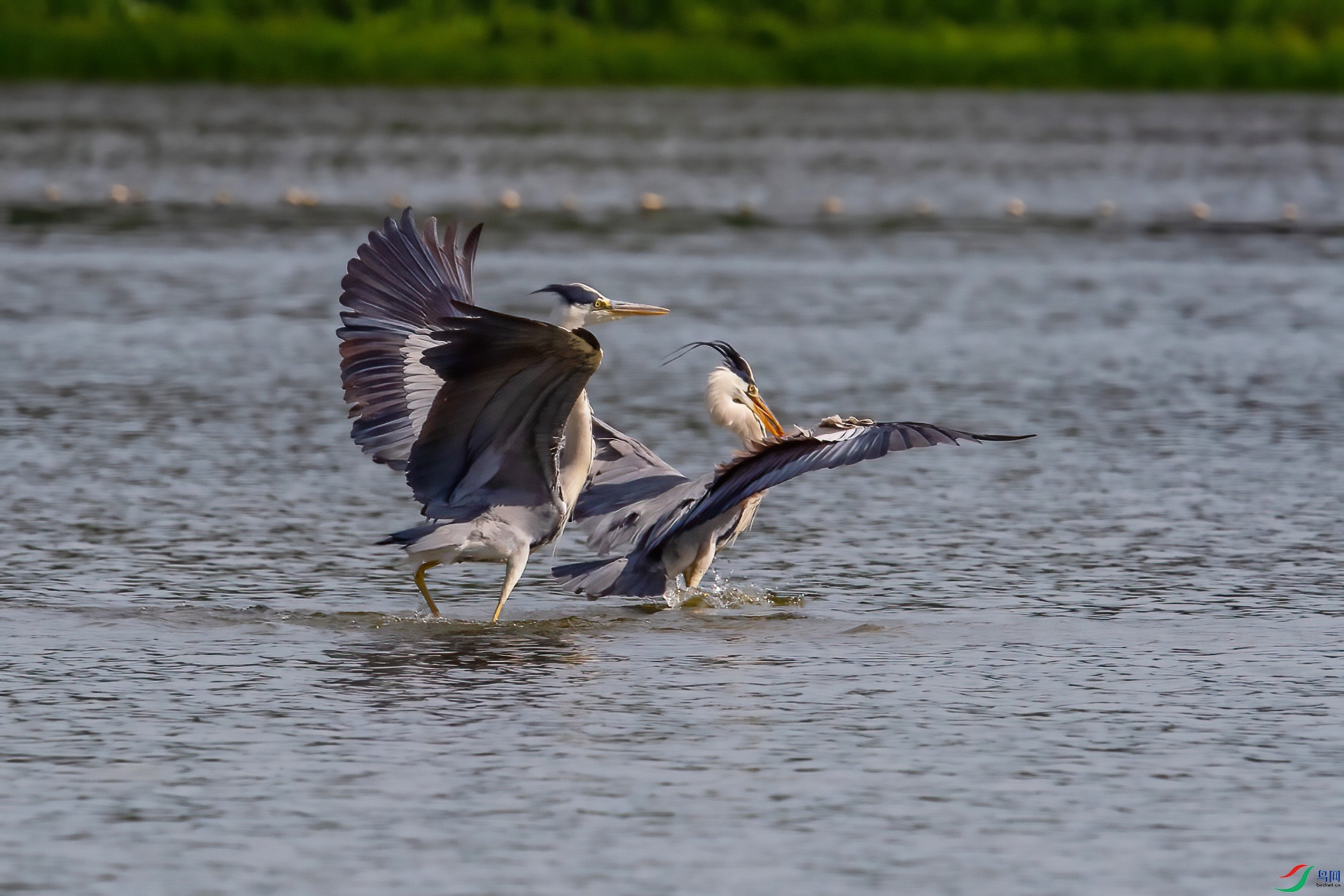 DSC_9366.jpg