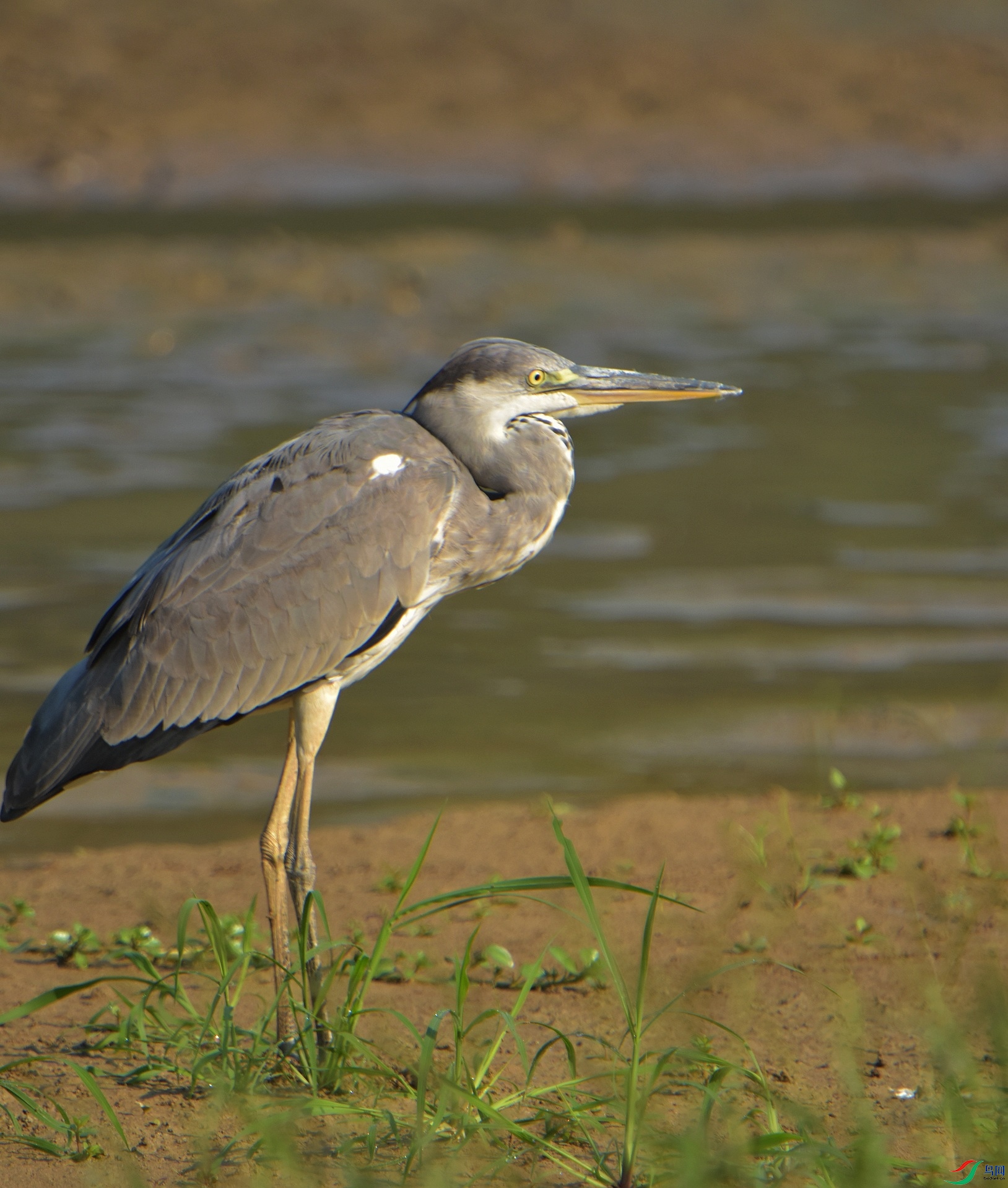 D72_5070.jpg