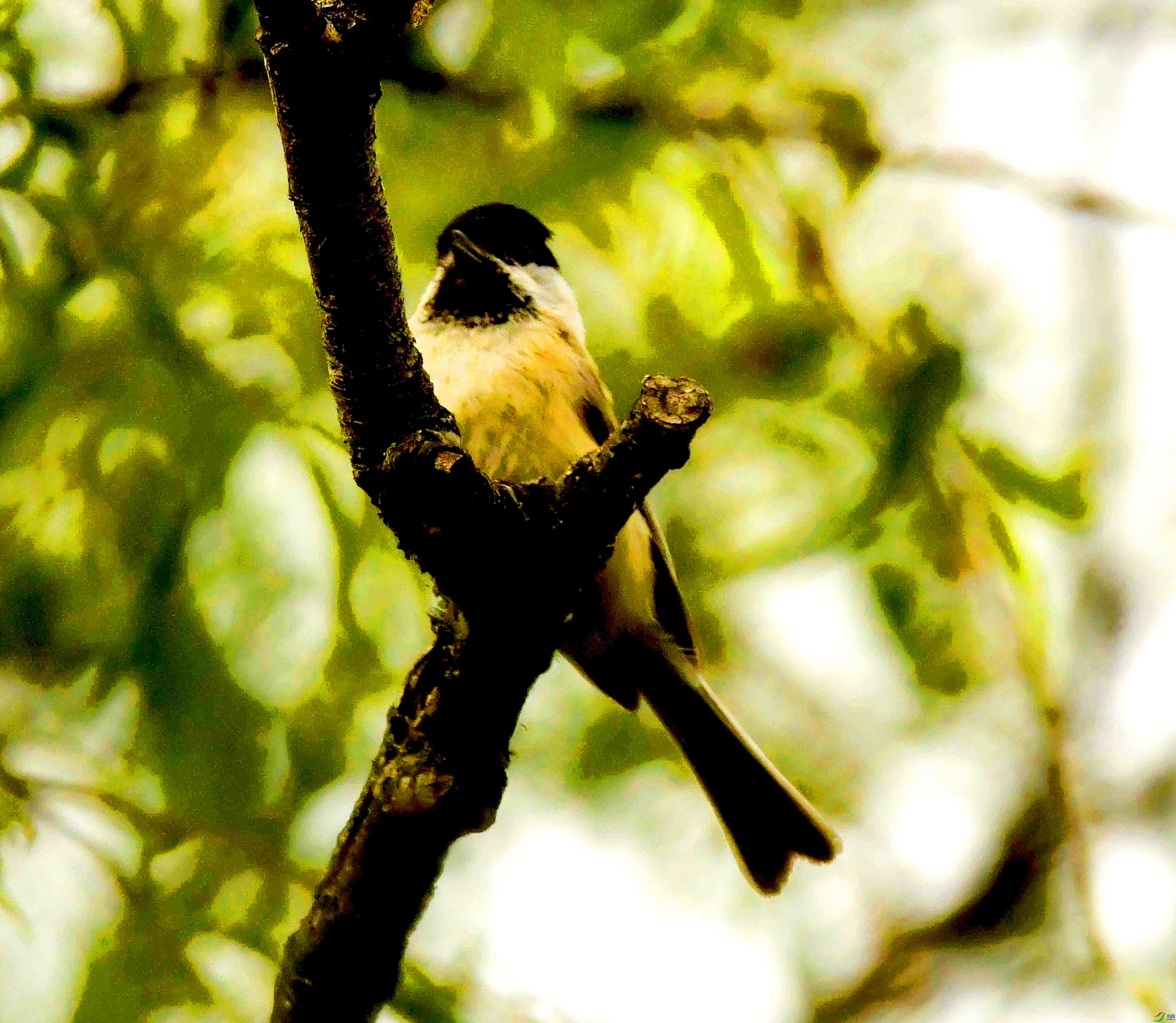 DSC_7926.JPG