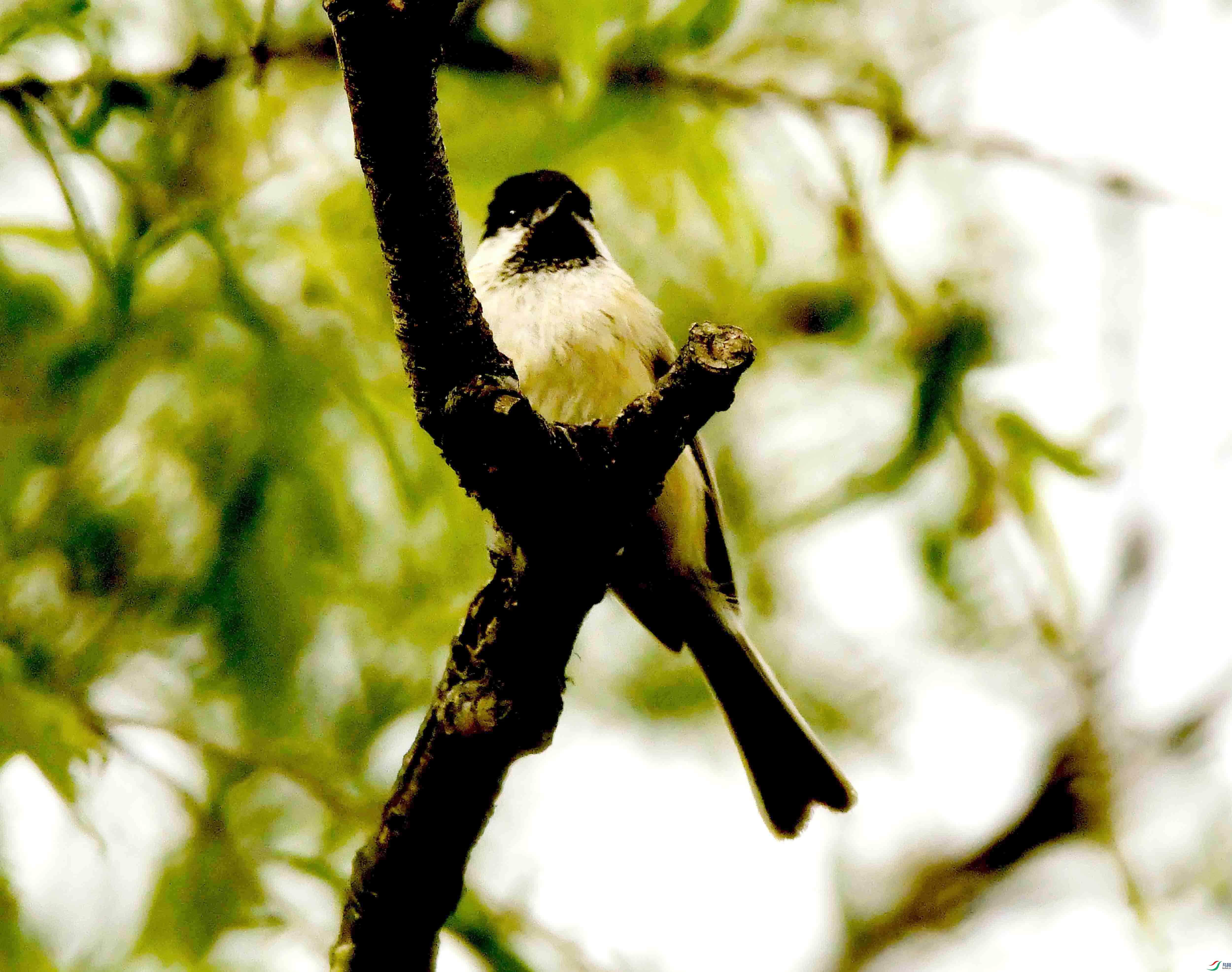 DSC_7923.JPG