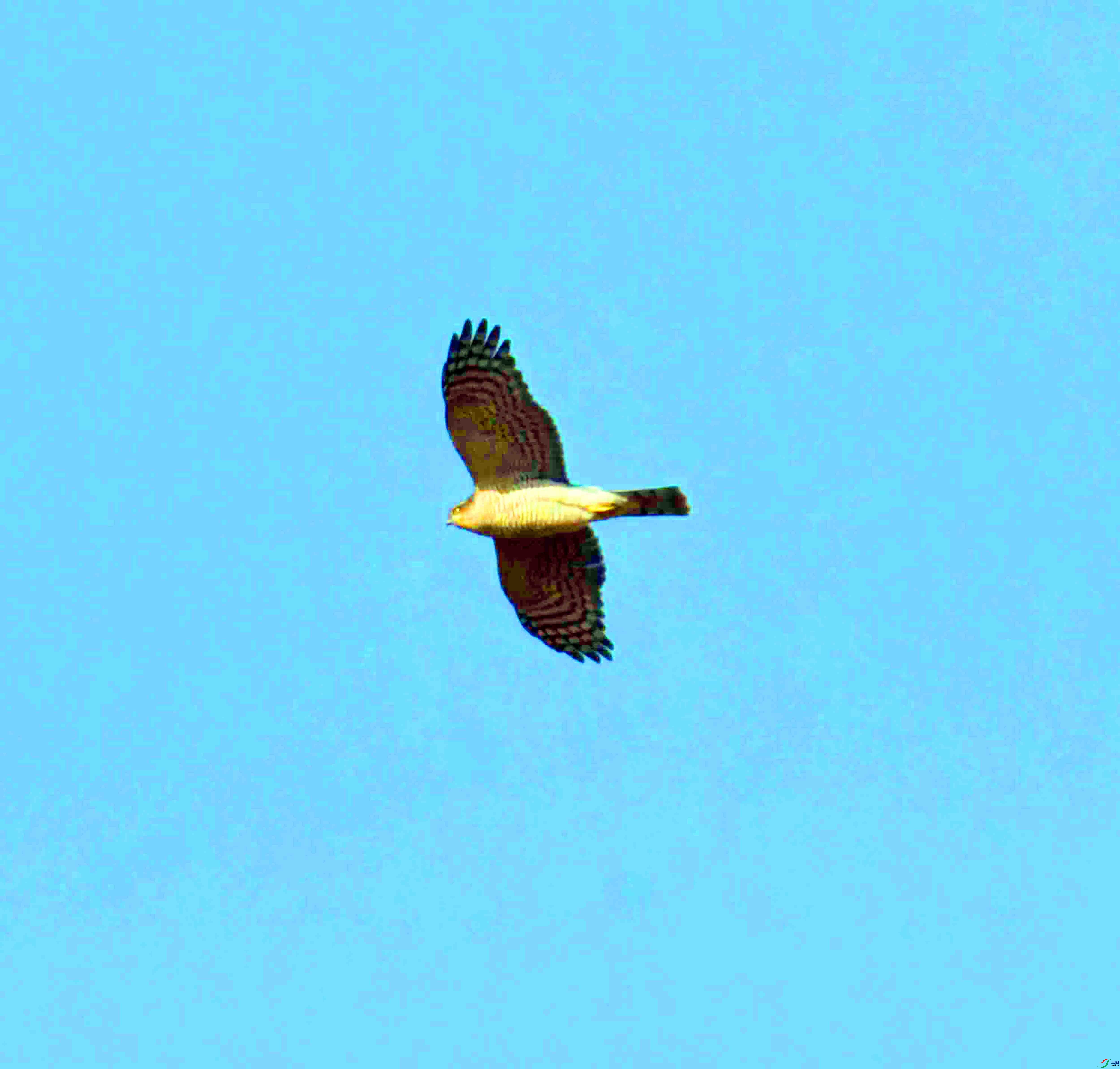 DSC_1536.JPG