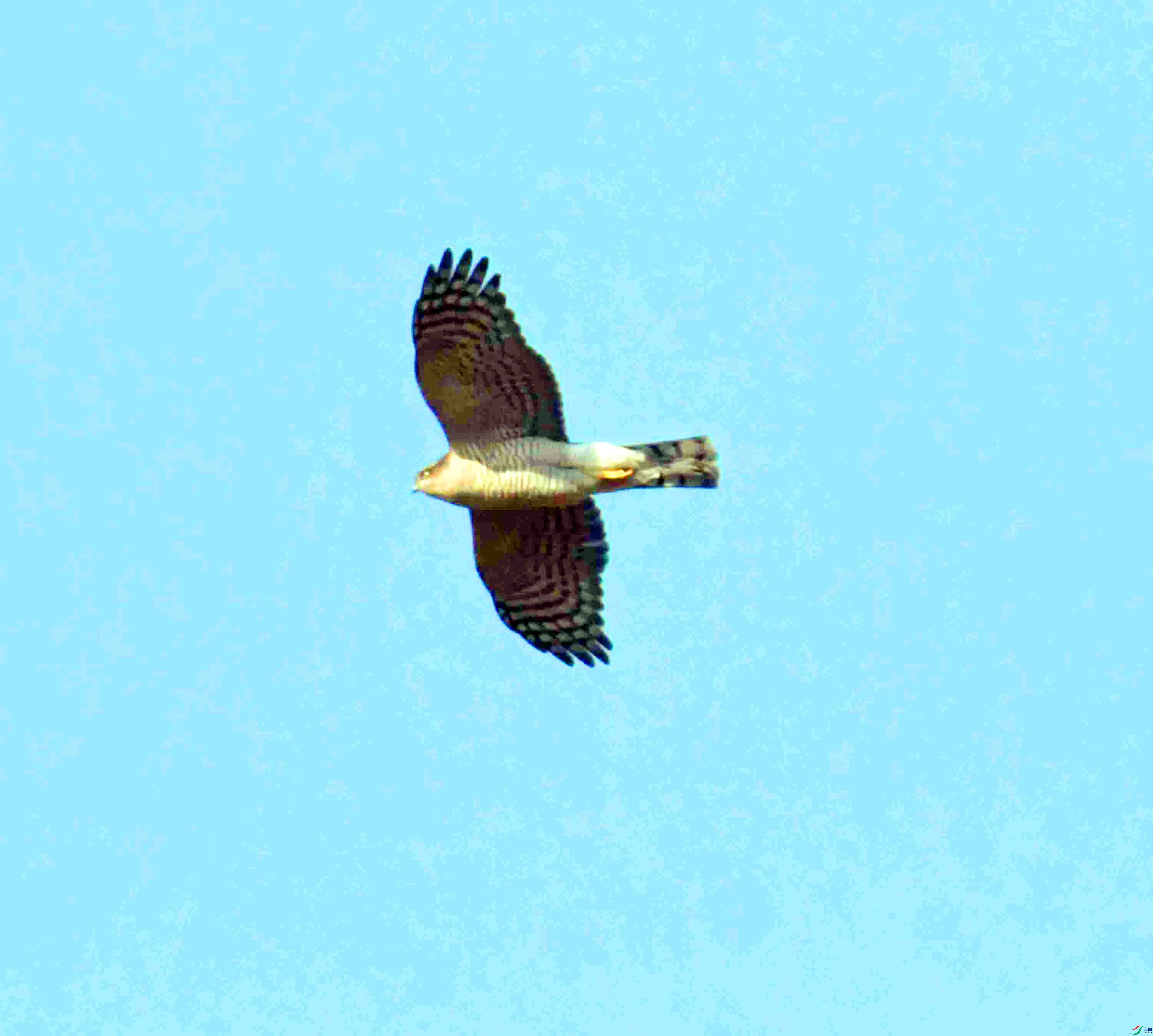 DSC_1535.JPG
