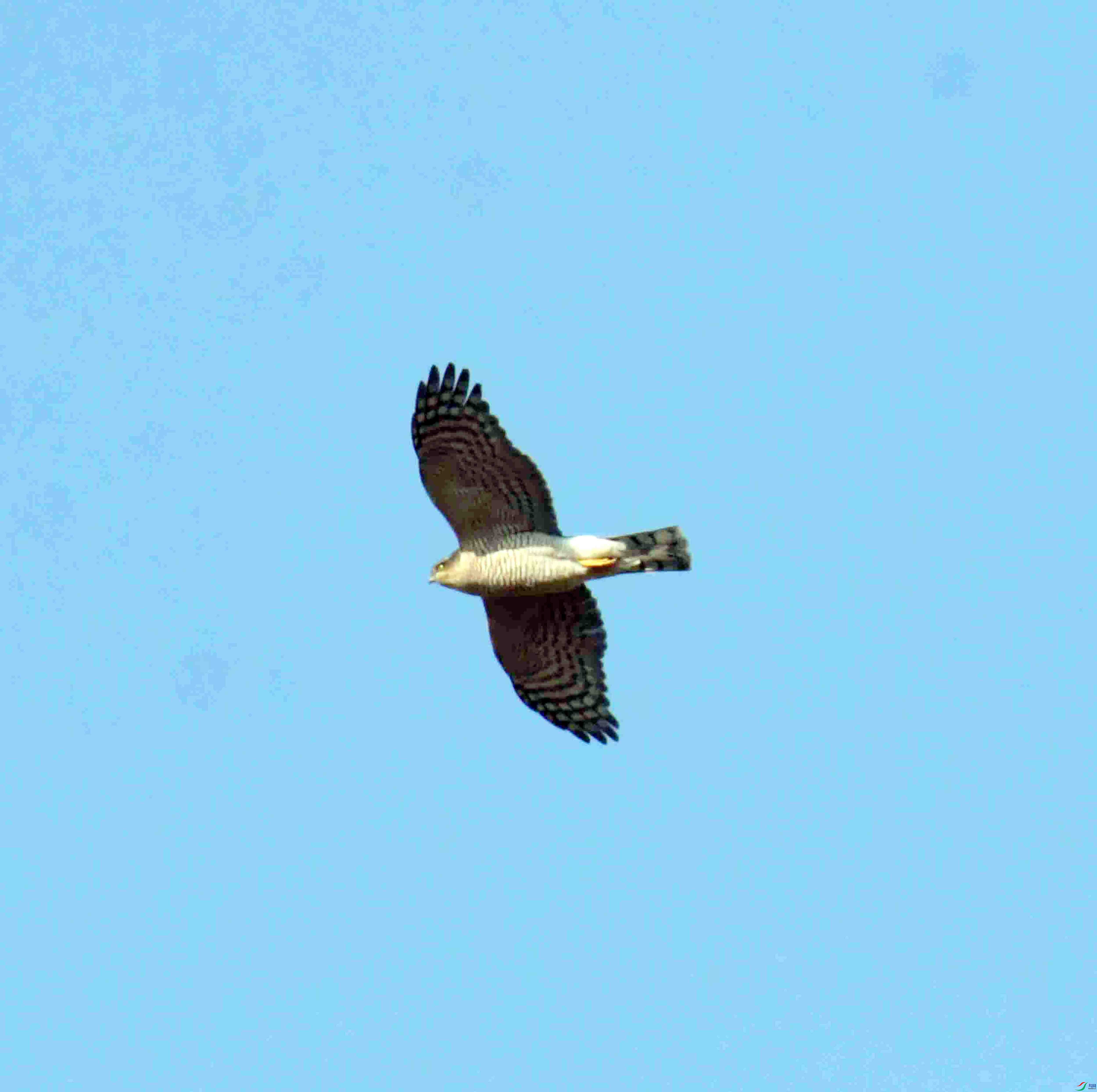 DSC_1537.JPG