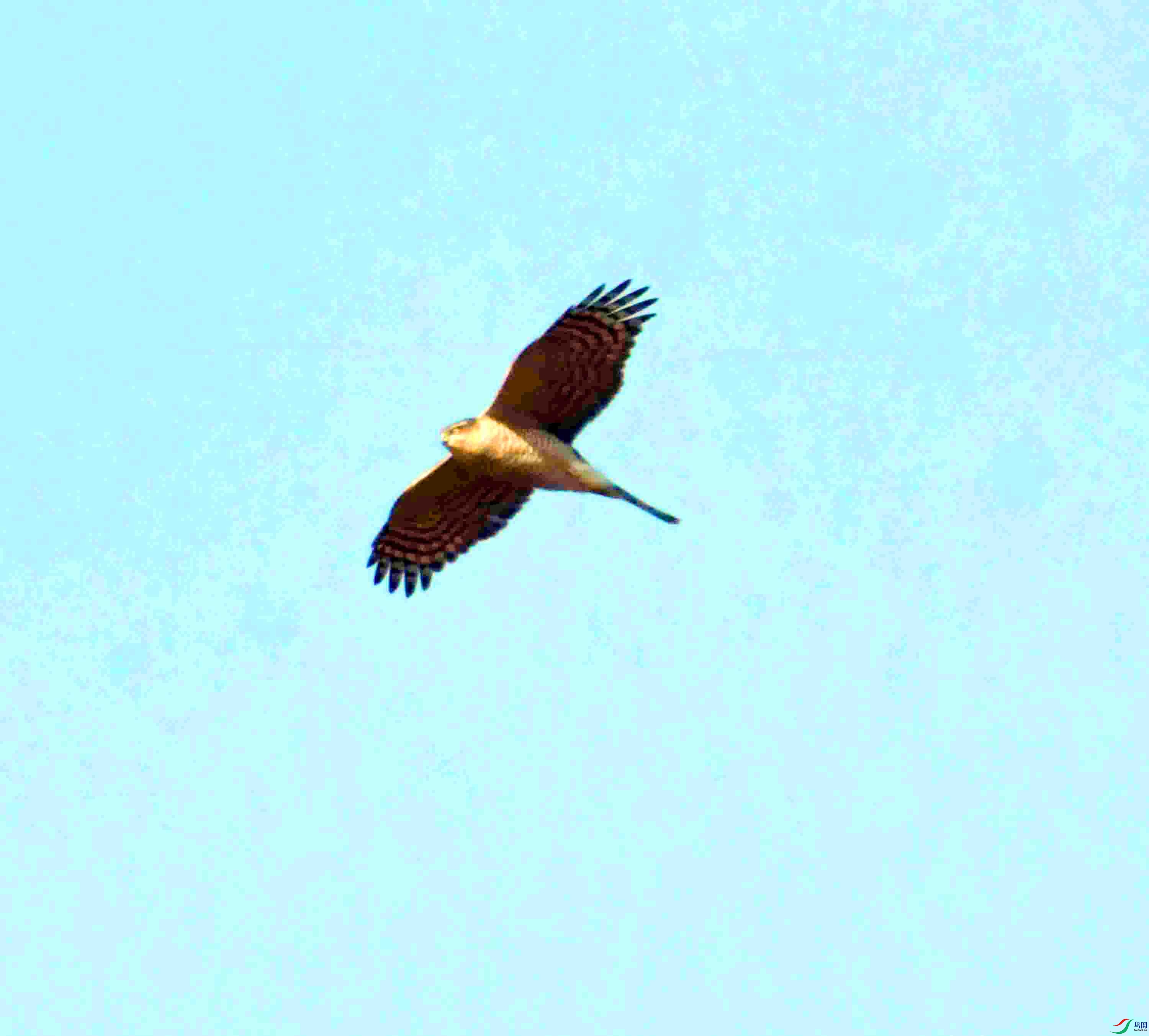 DSC_1541.JPG