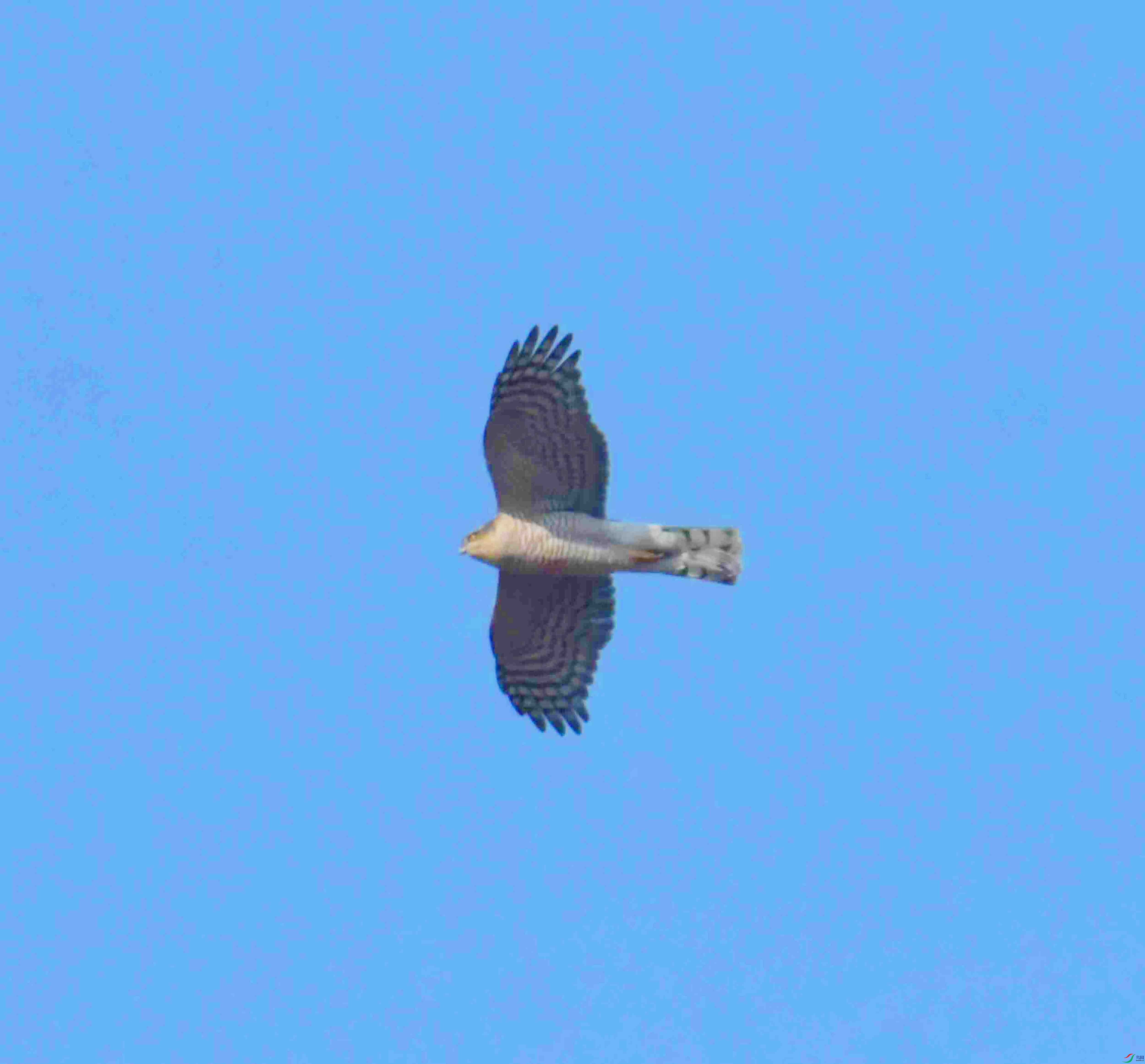 DSC_1544.JPG