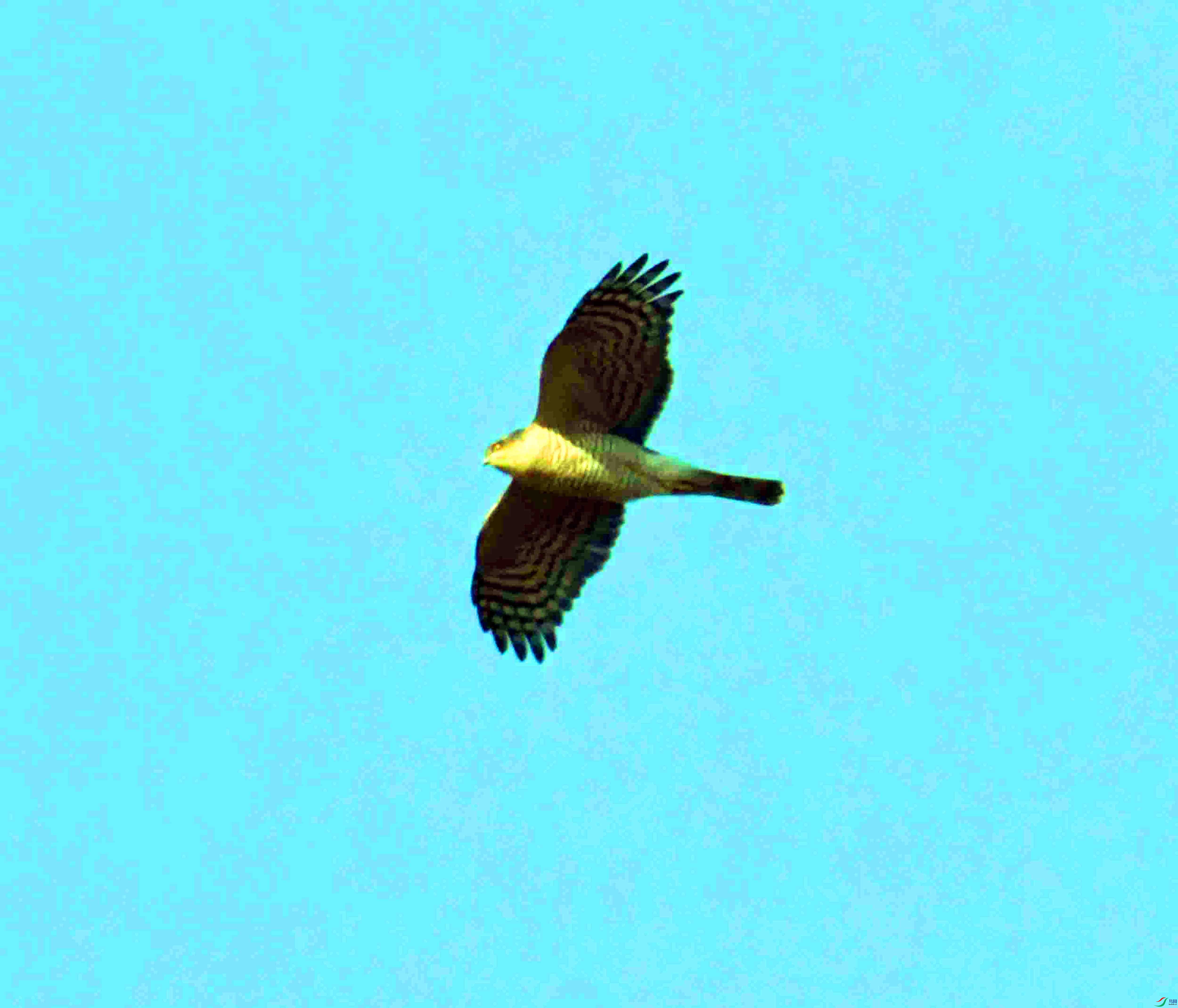 DSC_1542.JPG