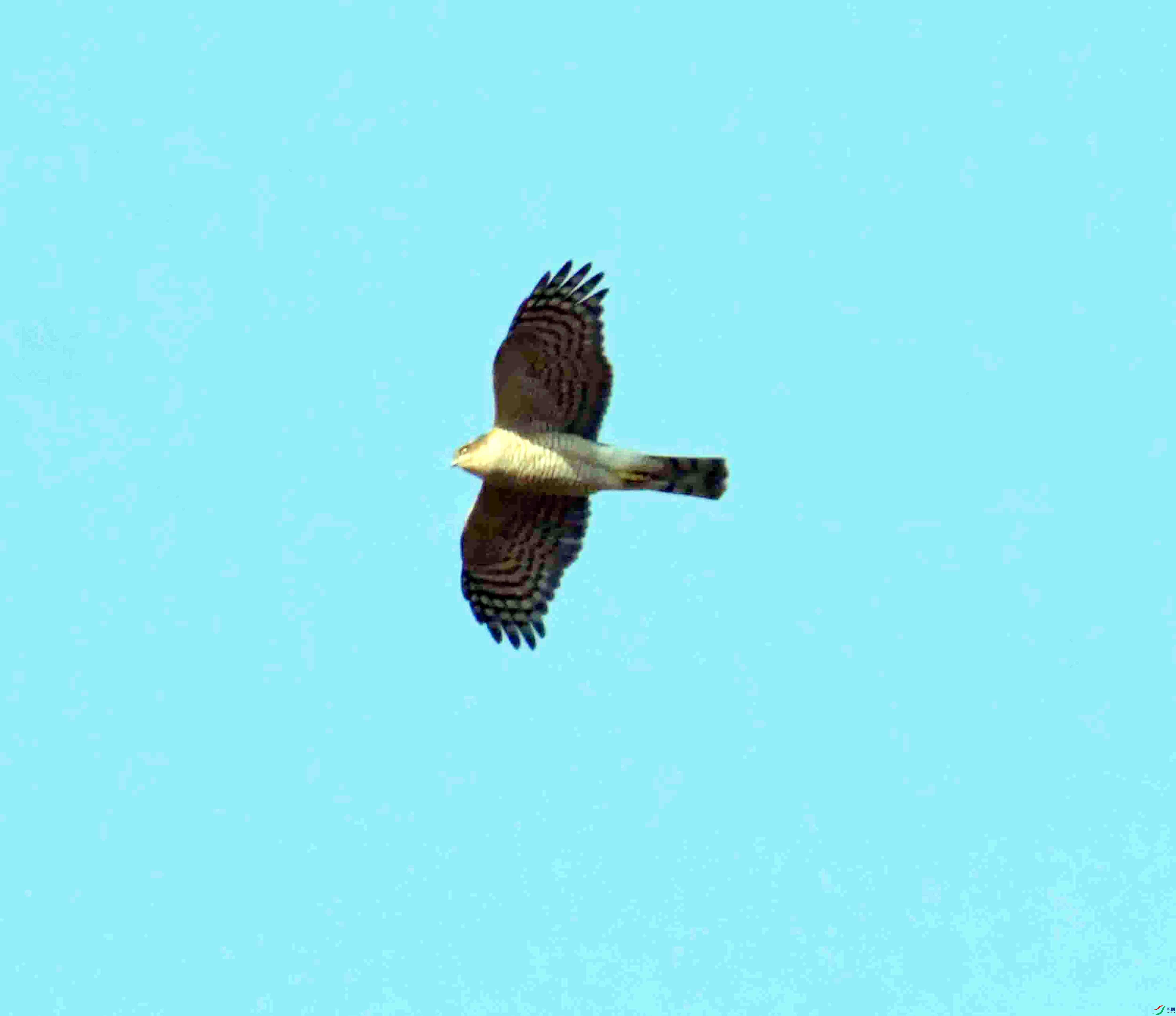 DSC_1543.JPG