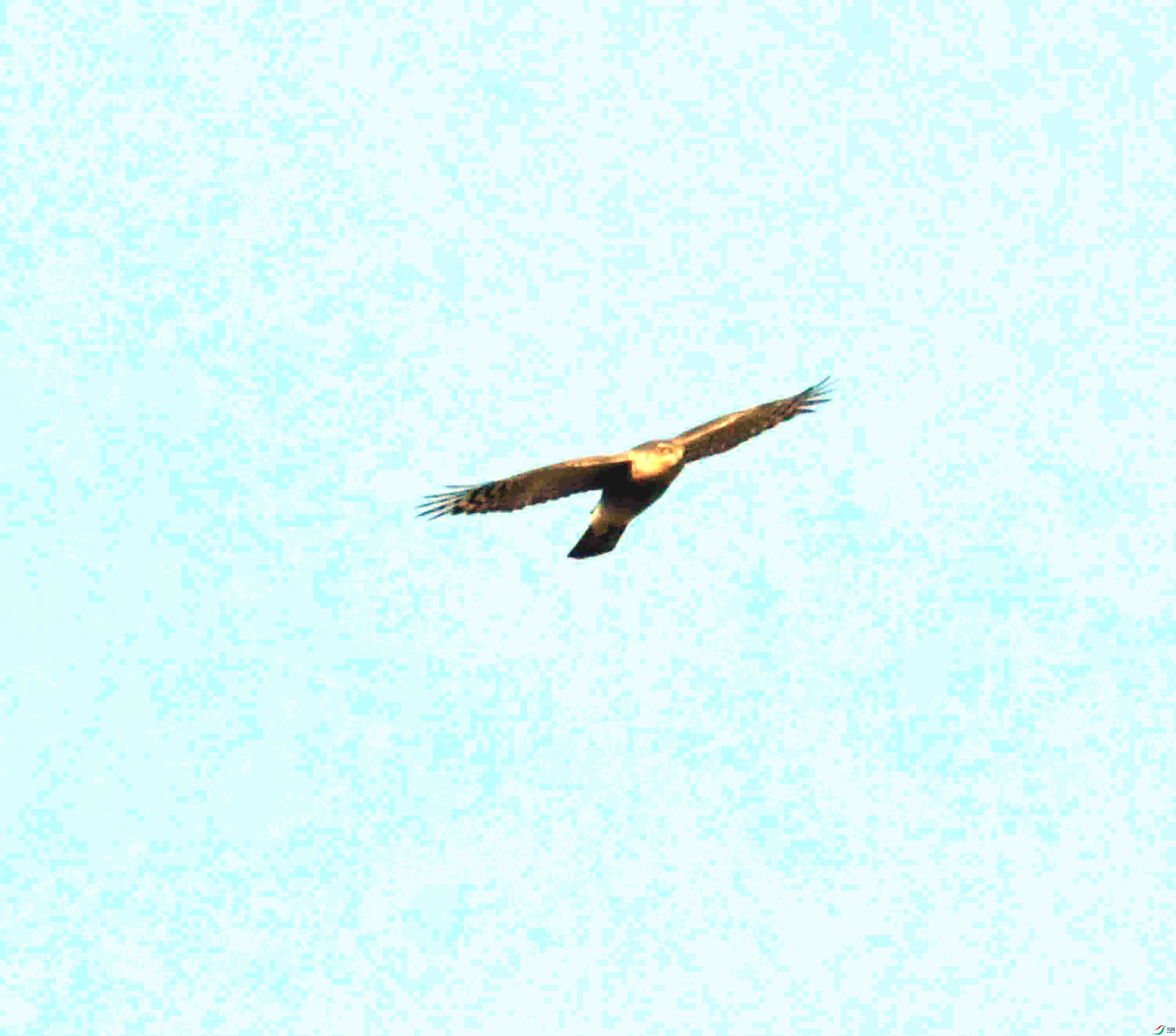 DSC_1548.JPG