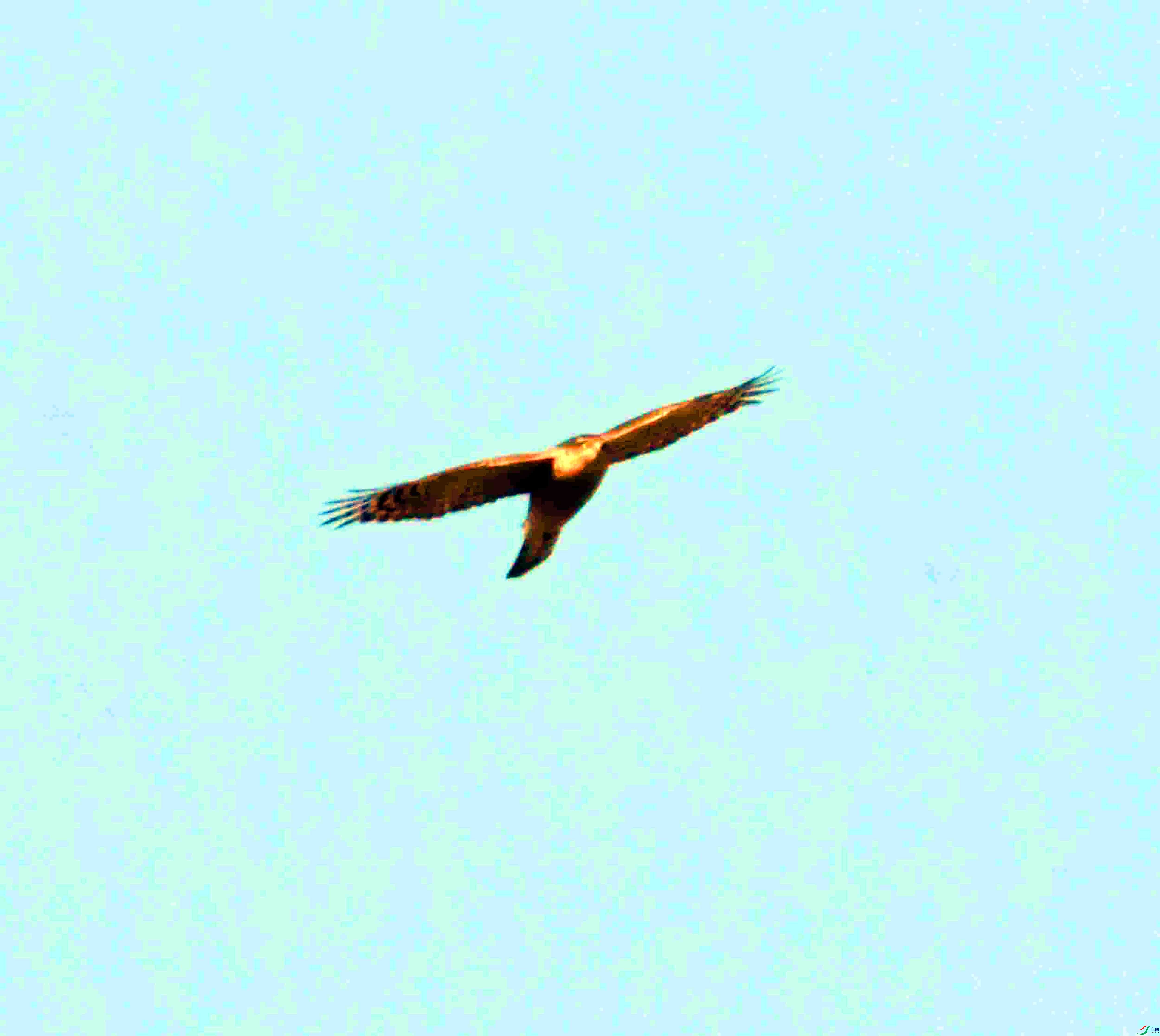 DSC_1549.JPG