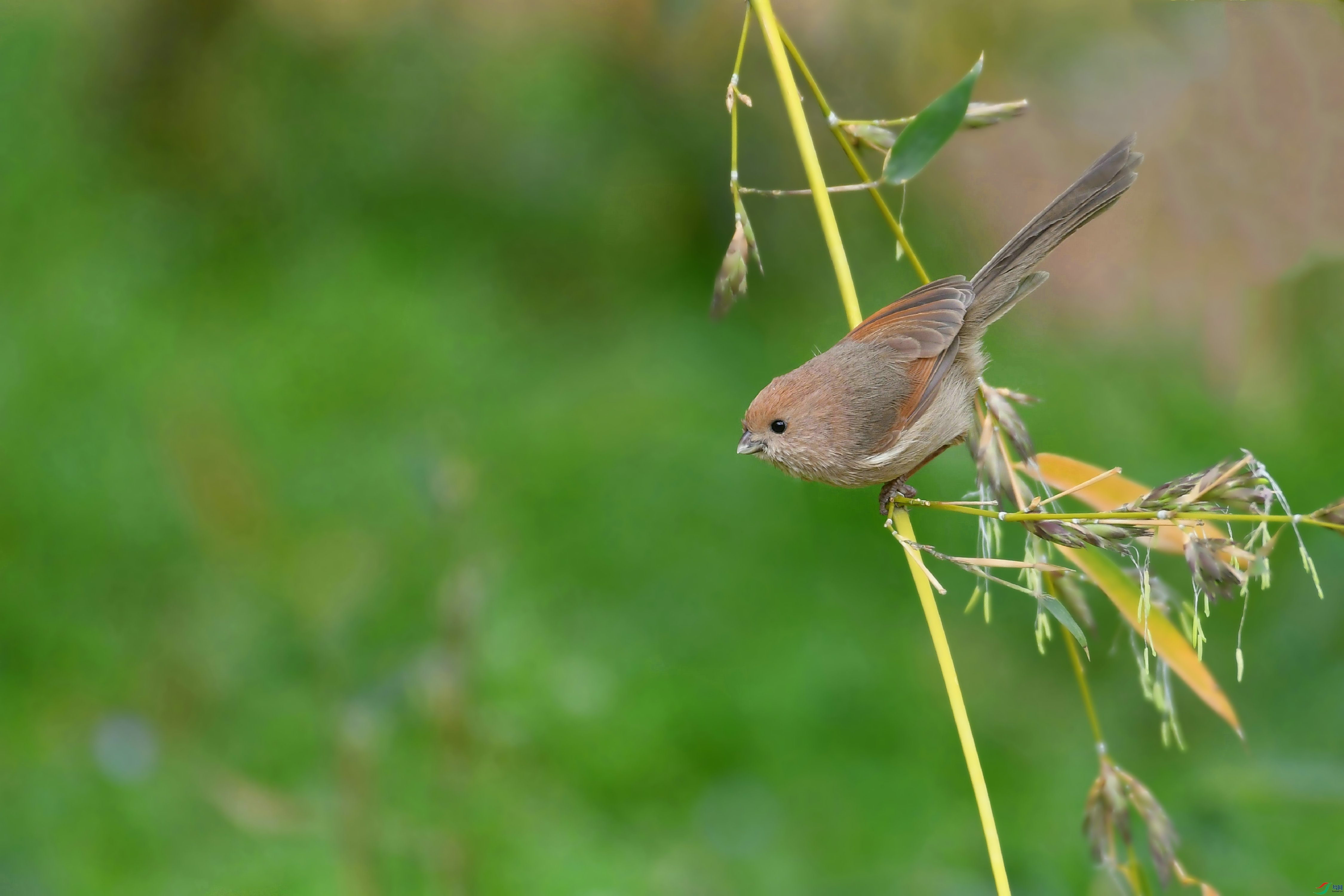 DSC_8004.JPG