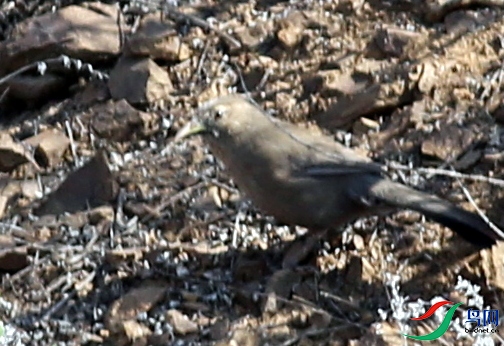 1O0A2769.JPG