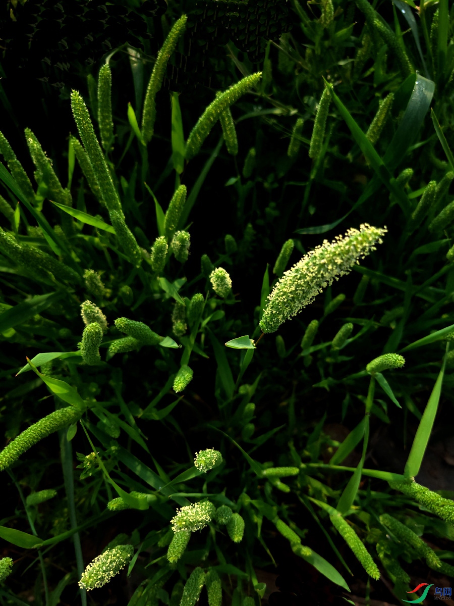 IMG20240418082903.jpg