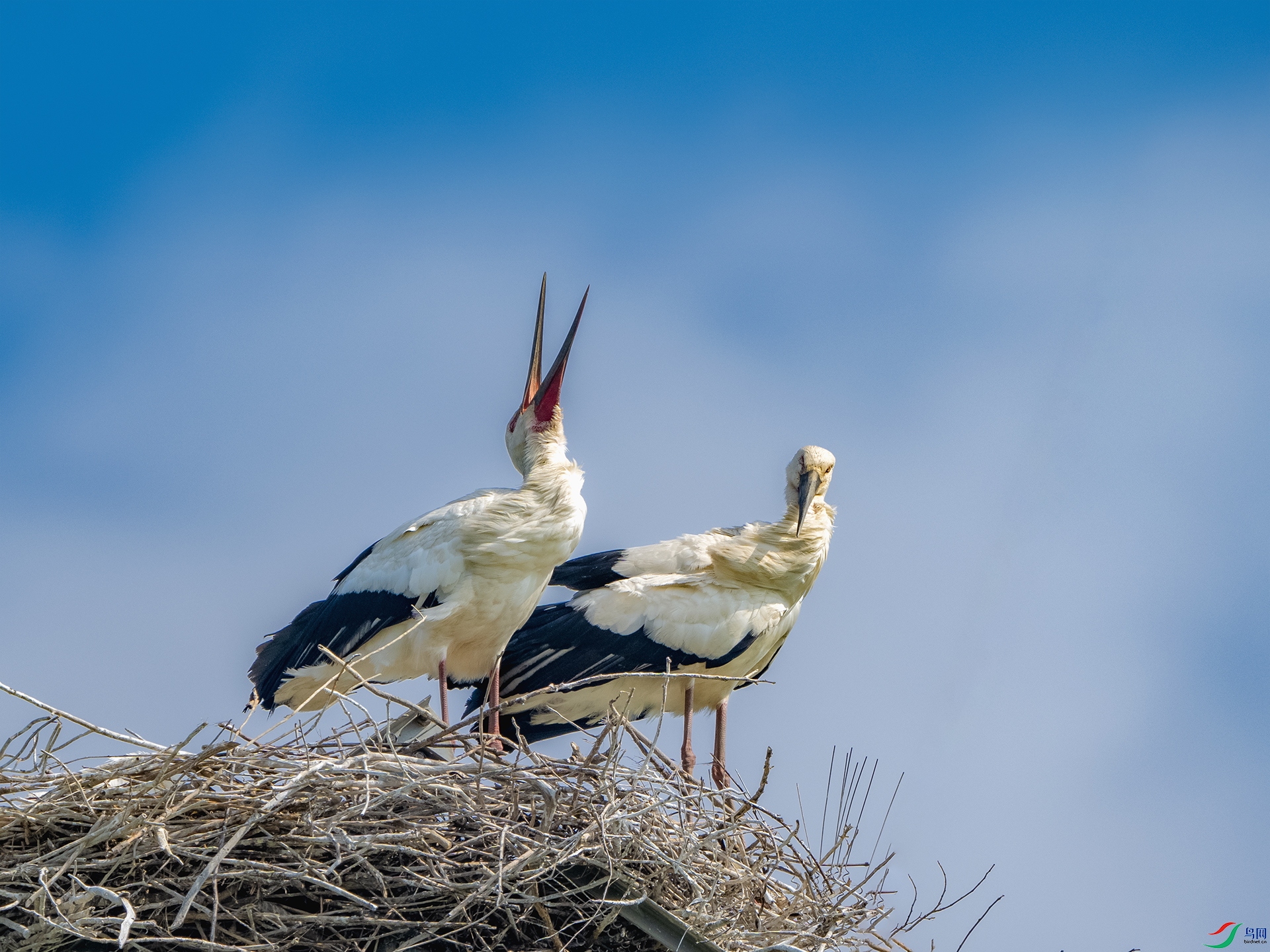 _DSC6997 ����2.jpg