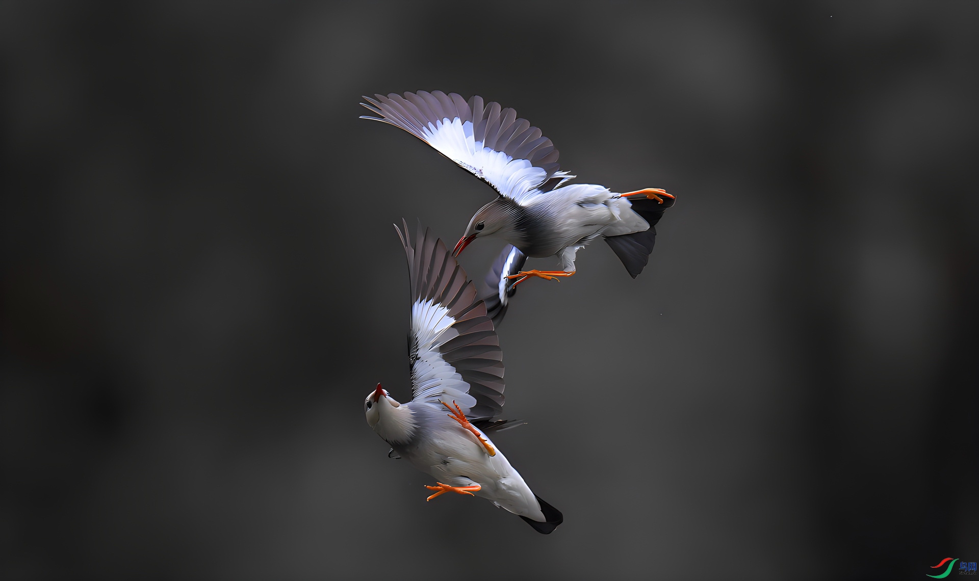 360albumviewer_imgproc_28349531_����.jpg