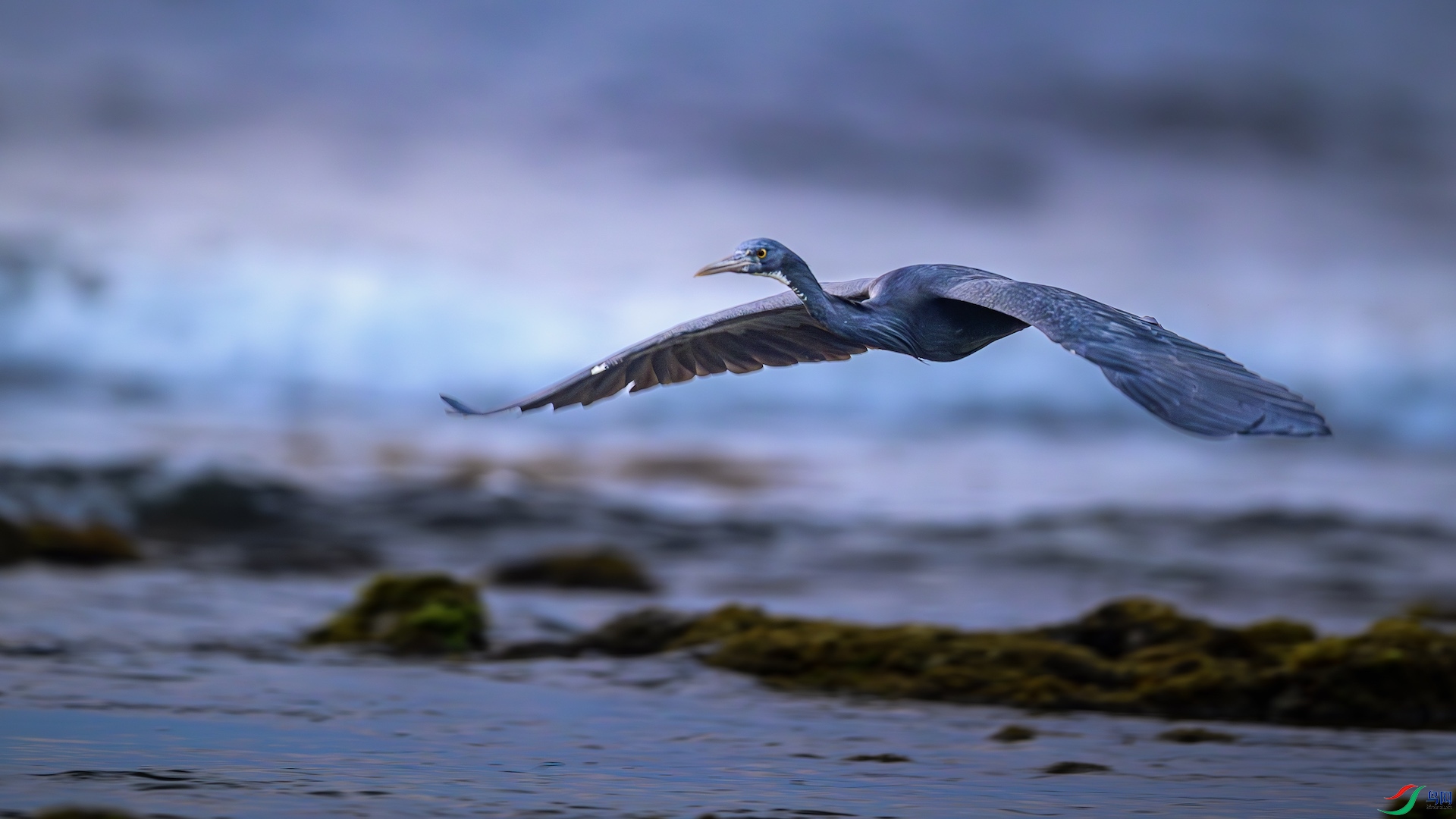 5_XXL7252-����ǿ-NR ����.jpeg