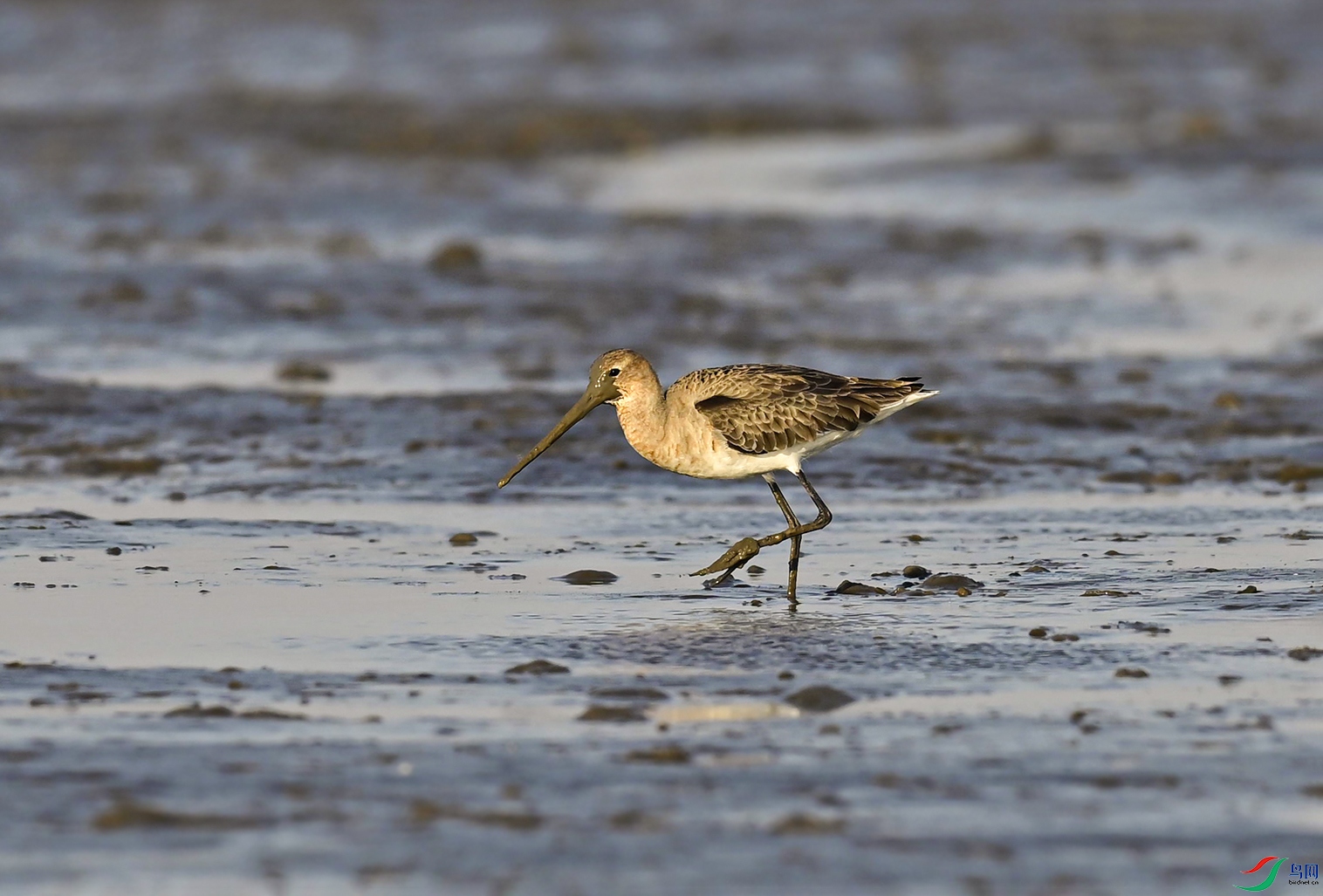 _DSC0865f.jpg