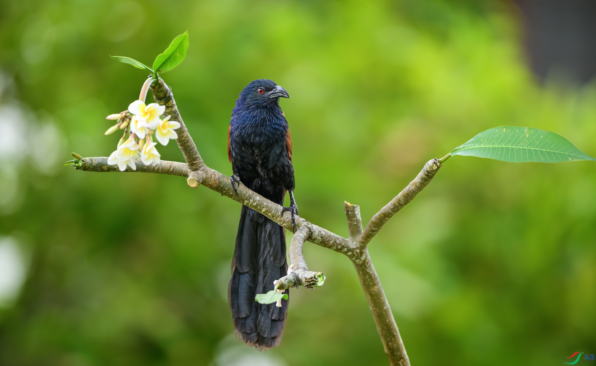 3_XXL2860-����ǿ-NR ����.jpeg