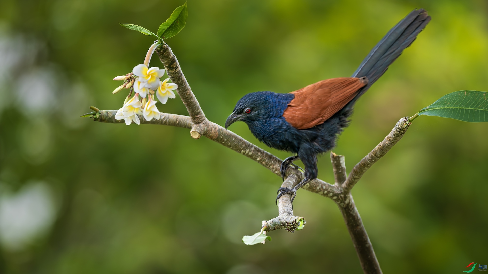 3_XXL2911-����ǿ-NR ����.jpeg