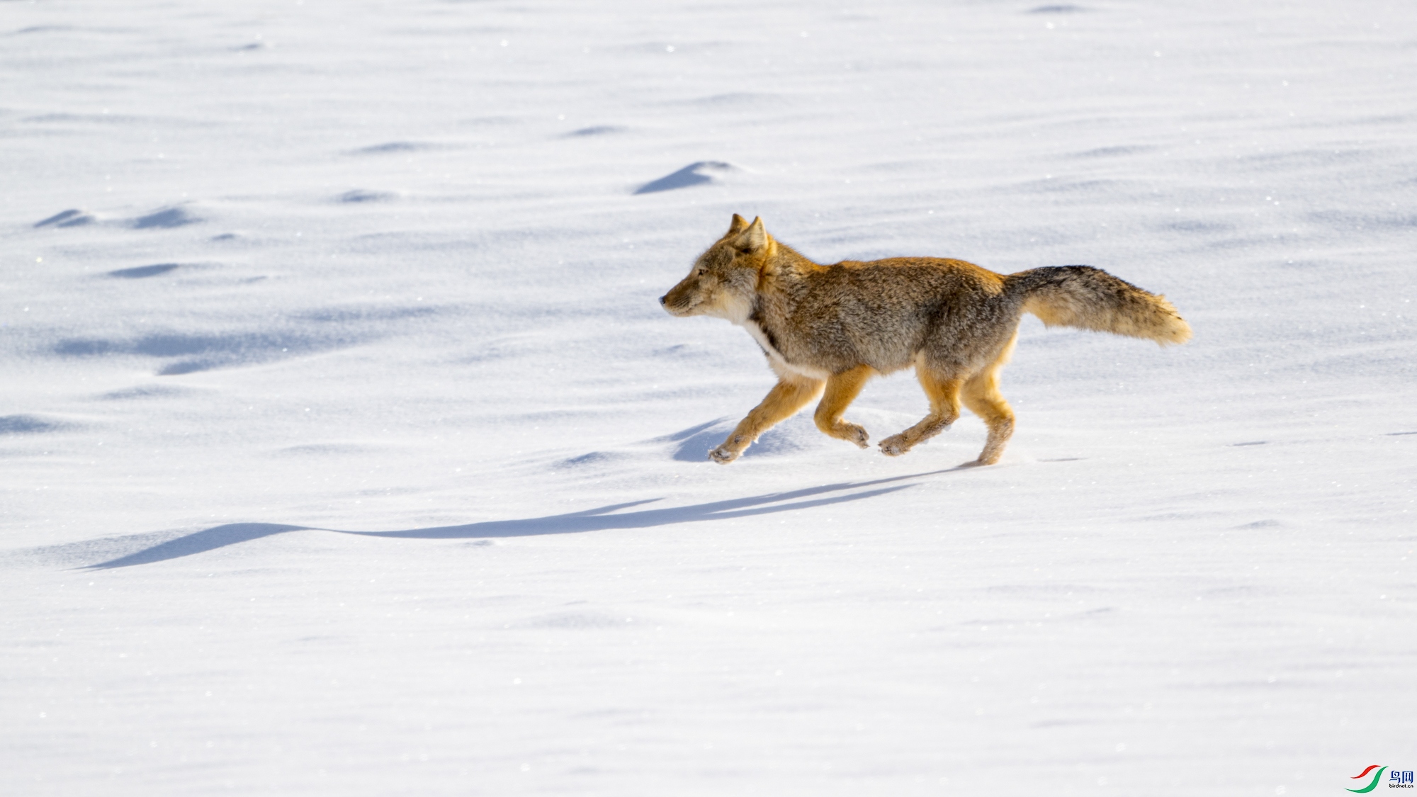 DSC_1325_2.jpg