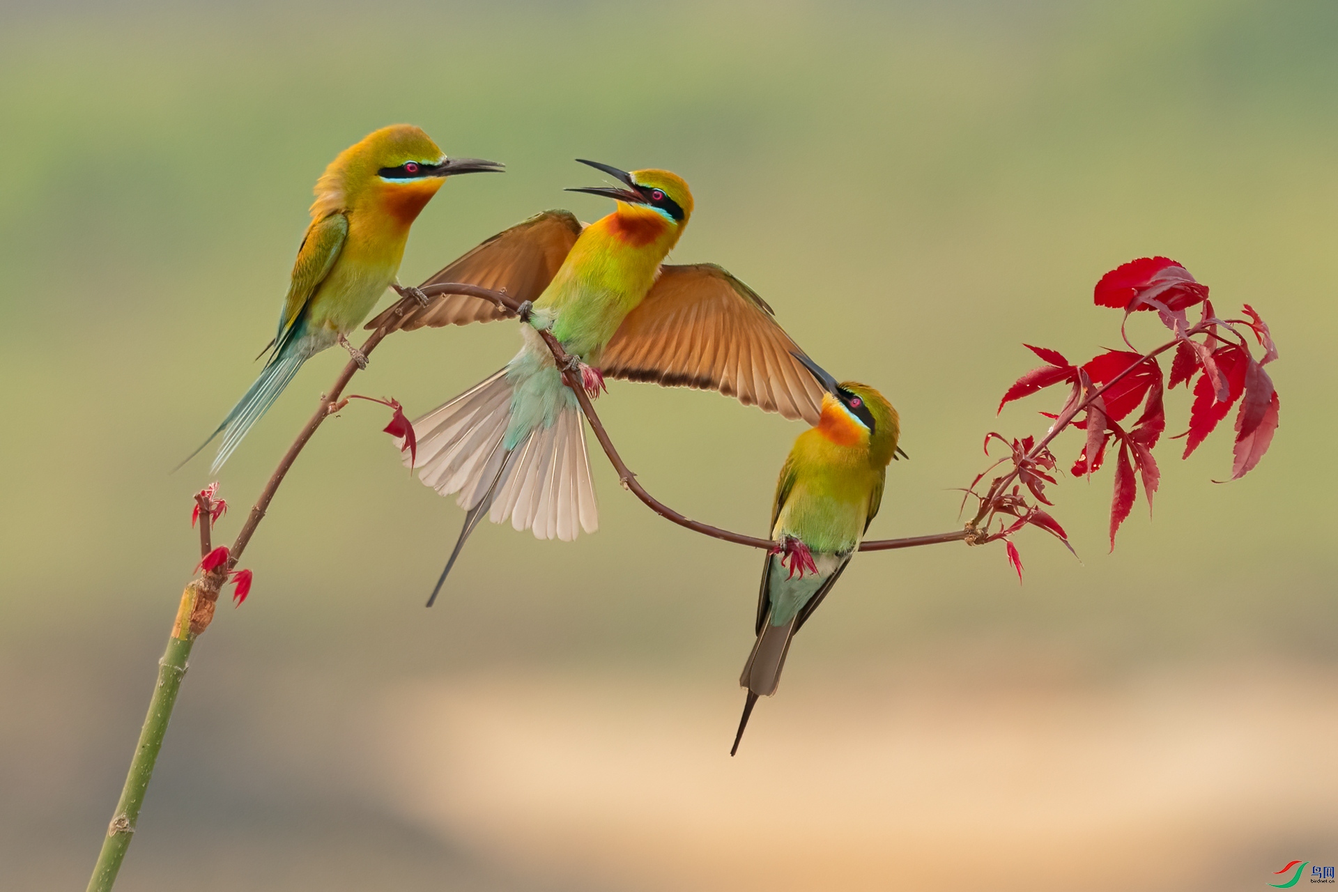 B86I6723 _����.jpg