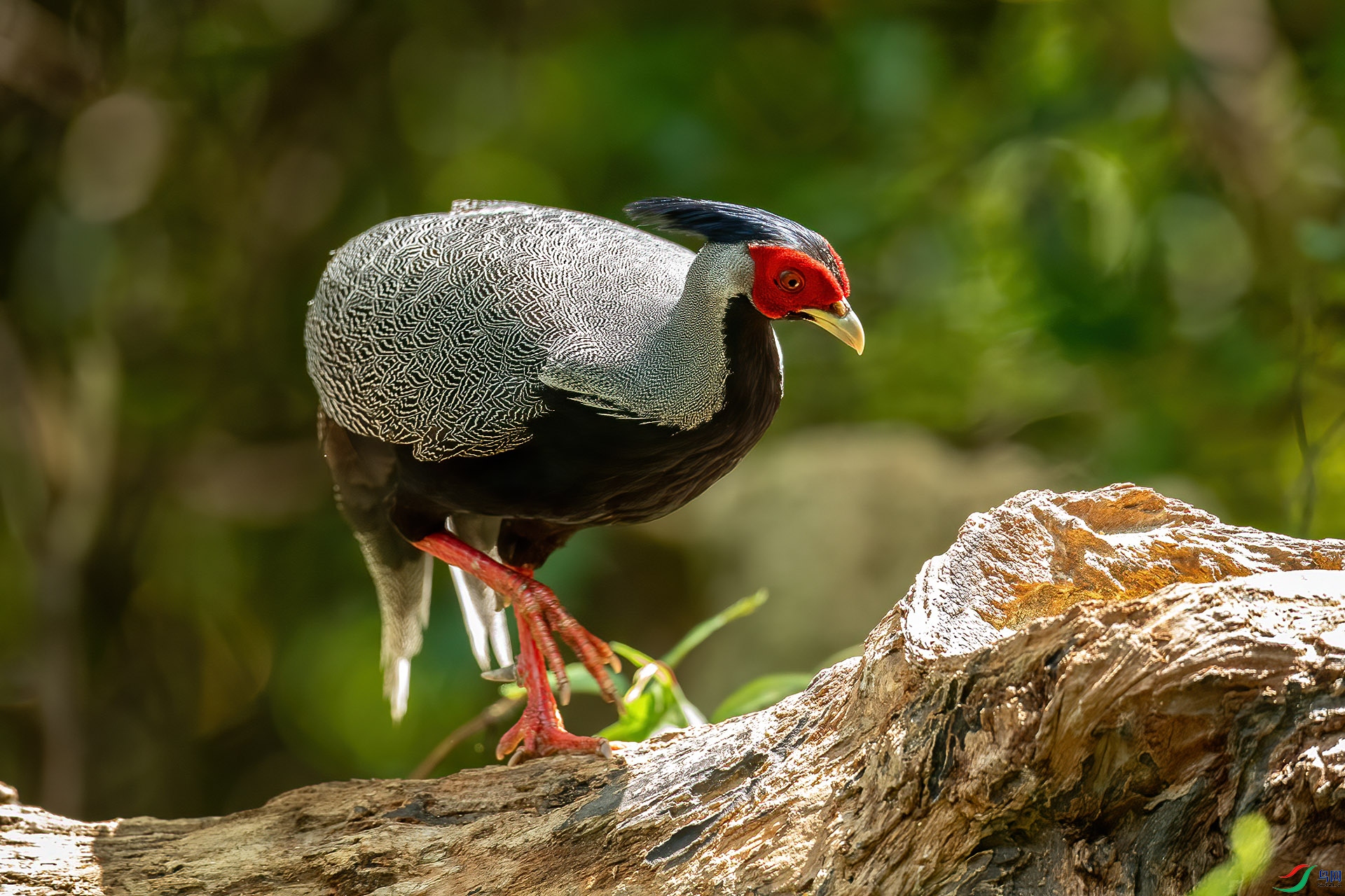 DSC_2214.jpg
