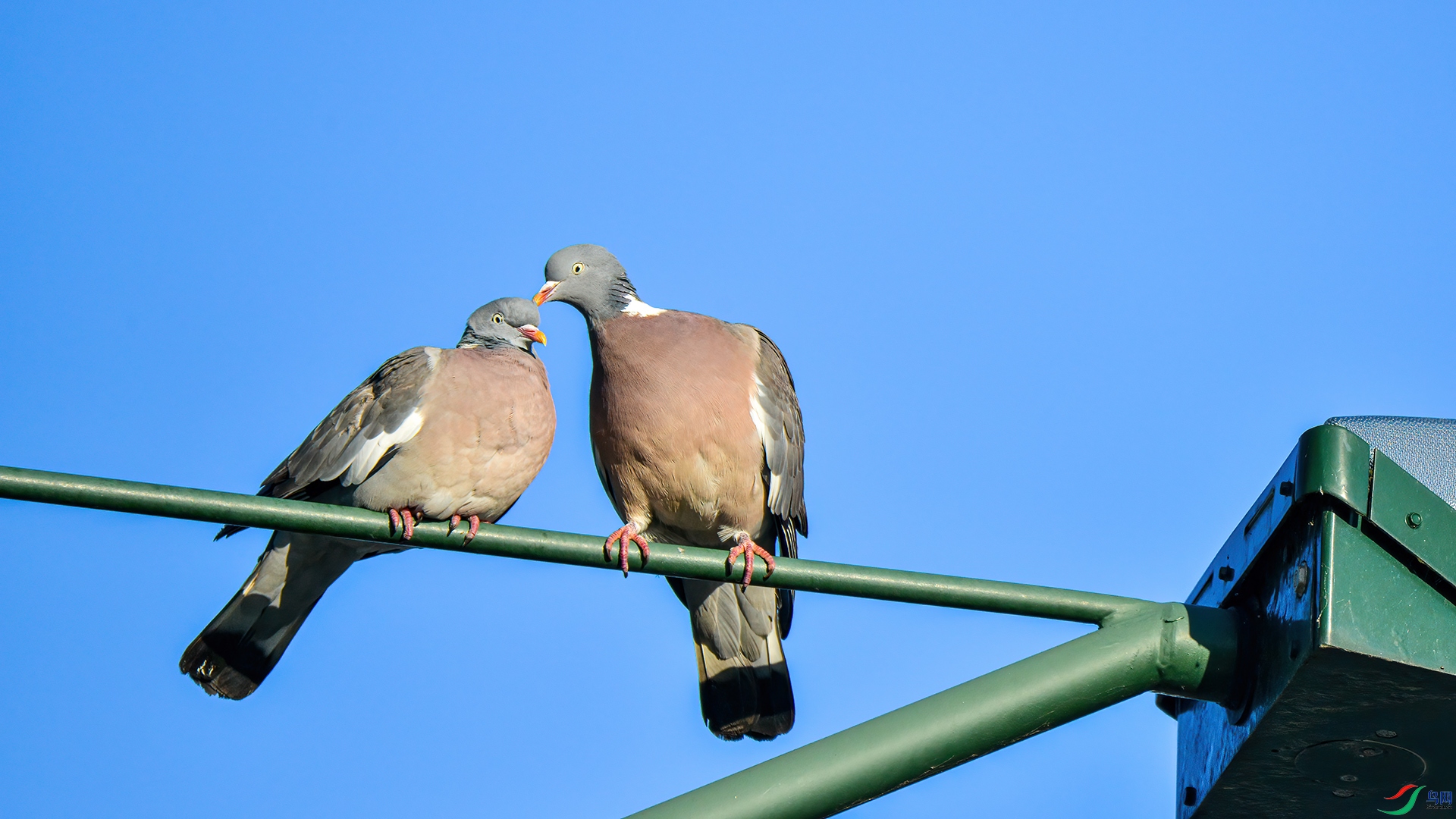 DSC_7427��β�ָ�.jpg