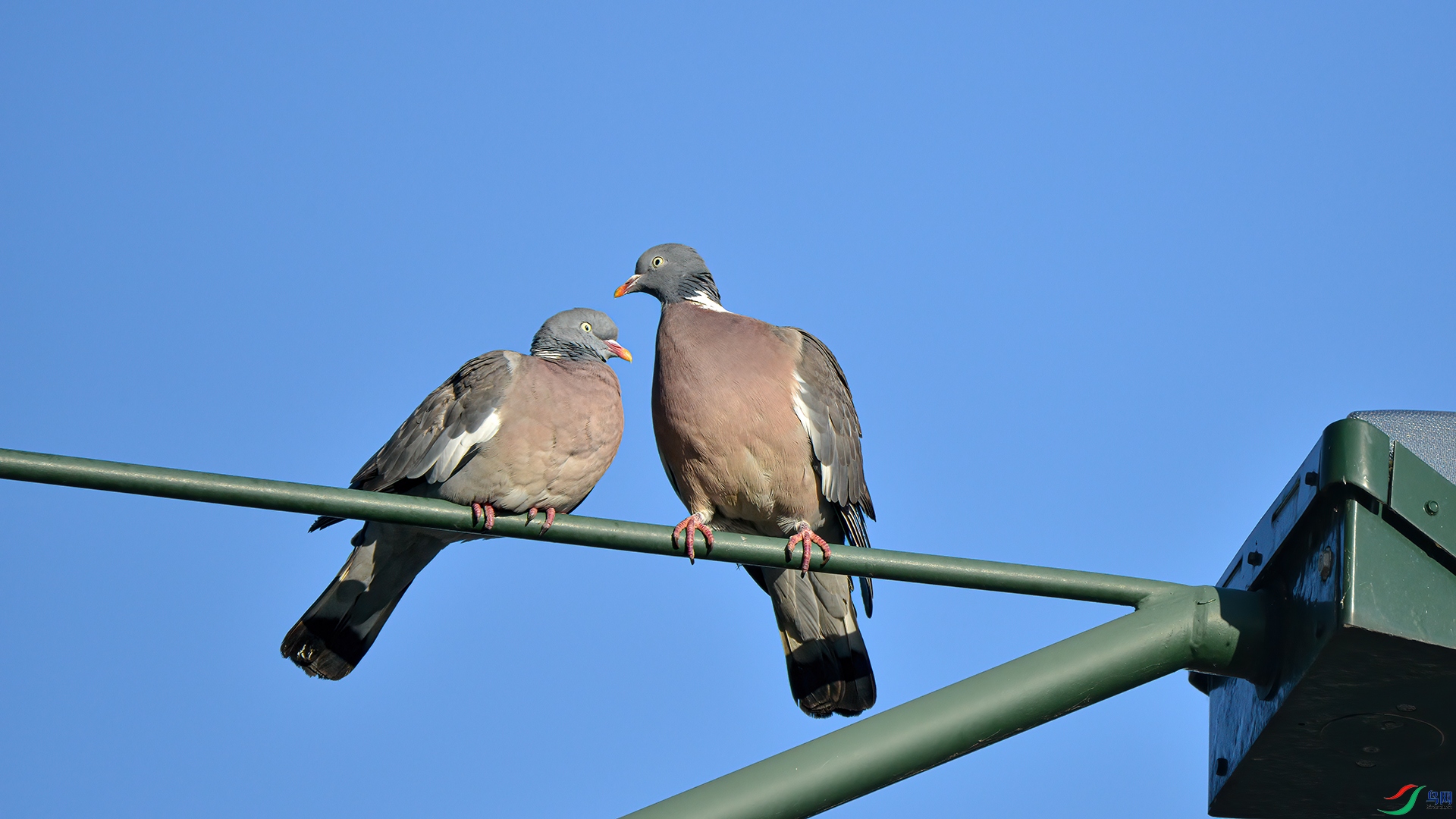 DSC_7434��β�ָ�.jpg