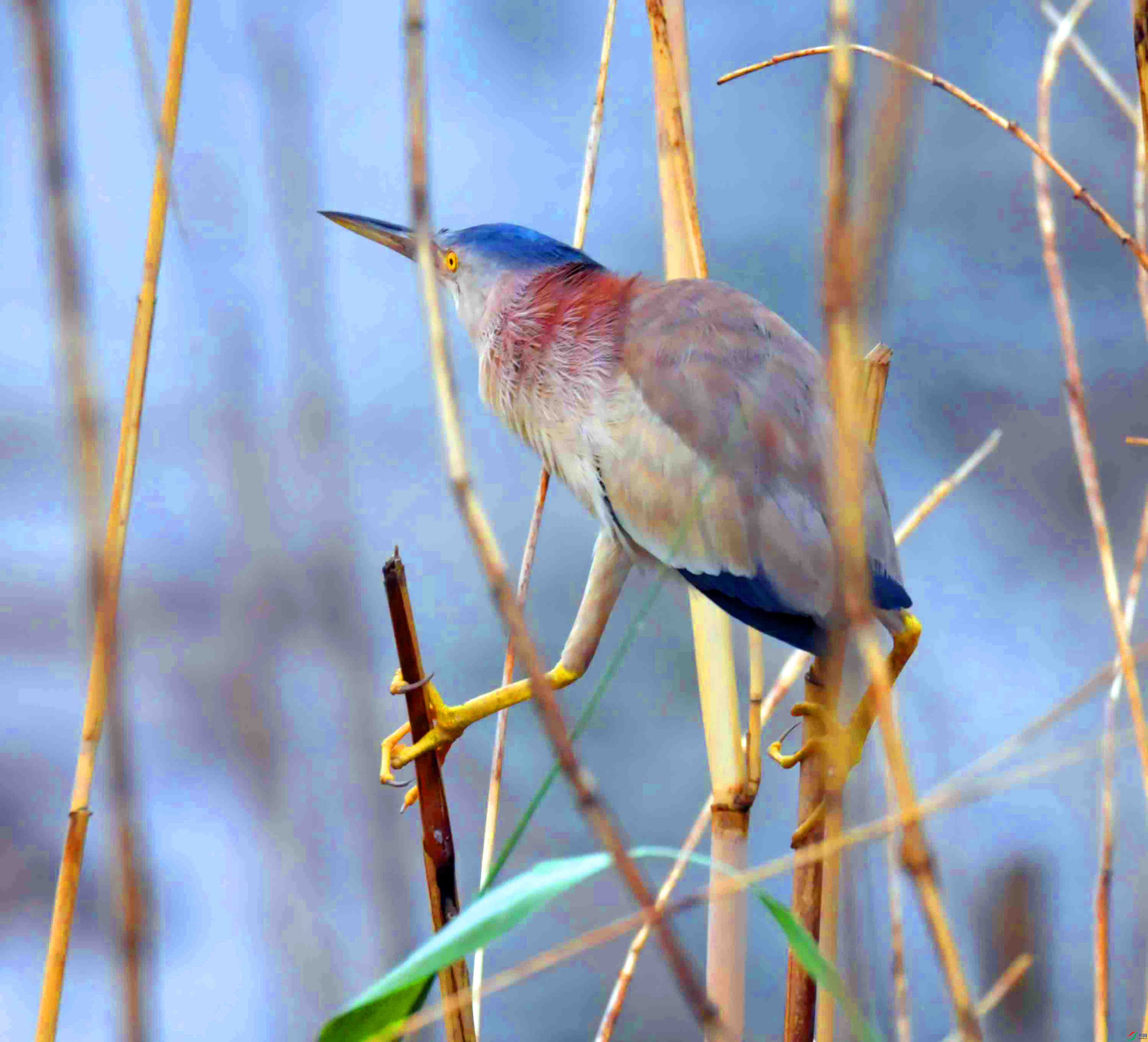 DSC_8862.JPG
