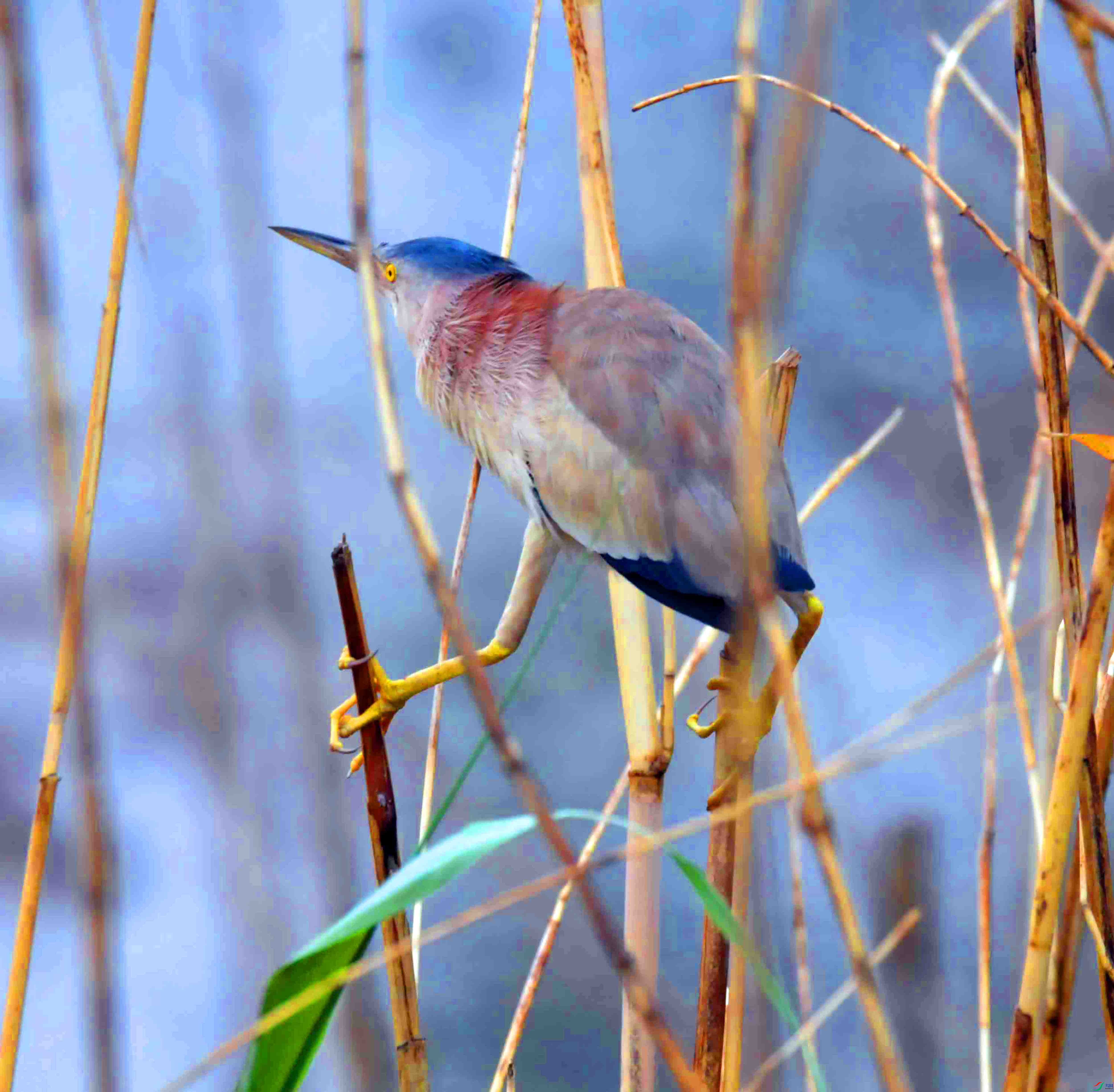 DSC_8863.JPG