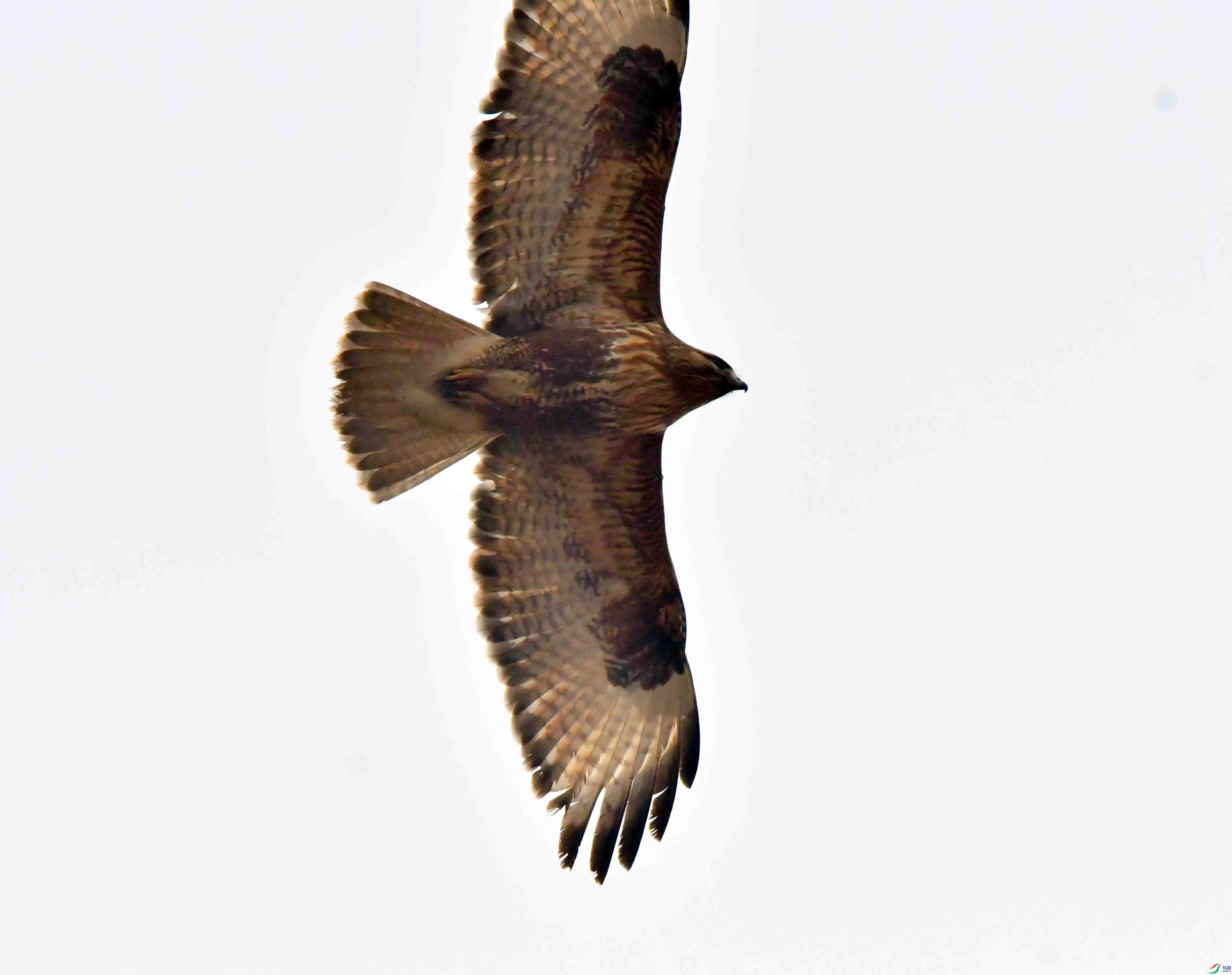 DSC_1629.JPG