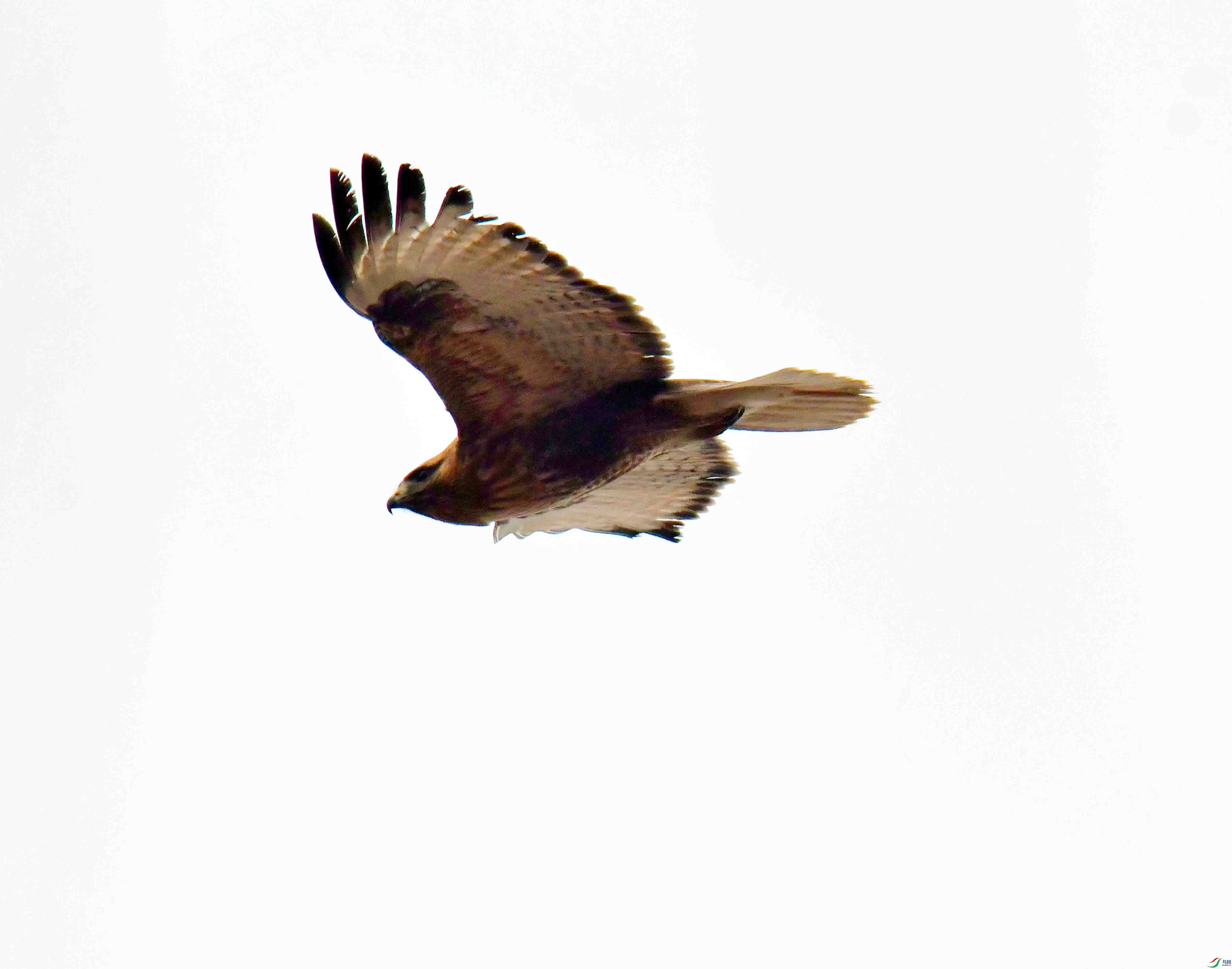 DSC_1640.JPG