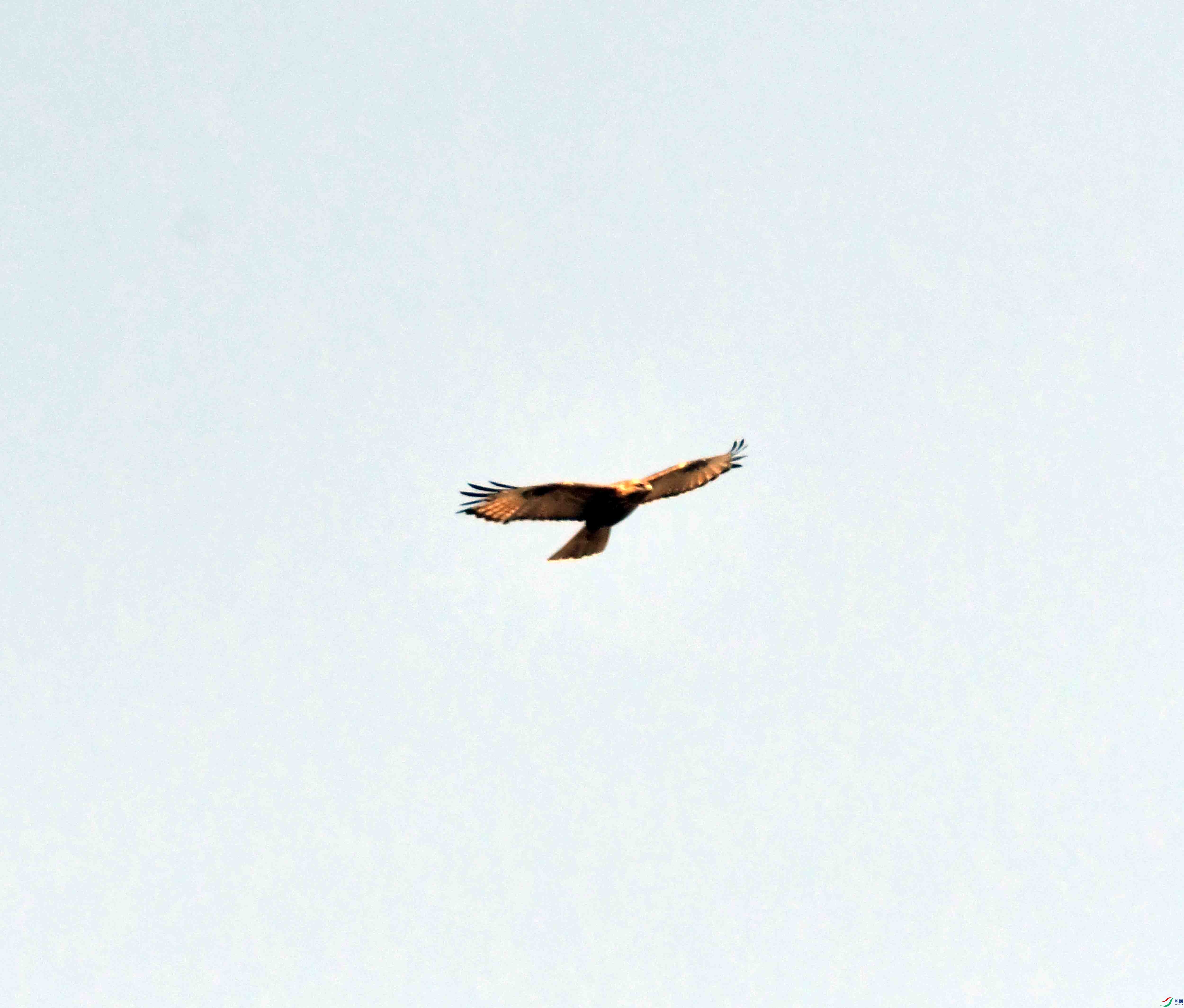 DSC_7784.JPG