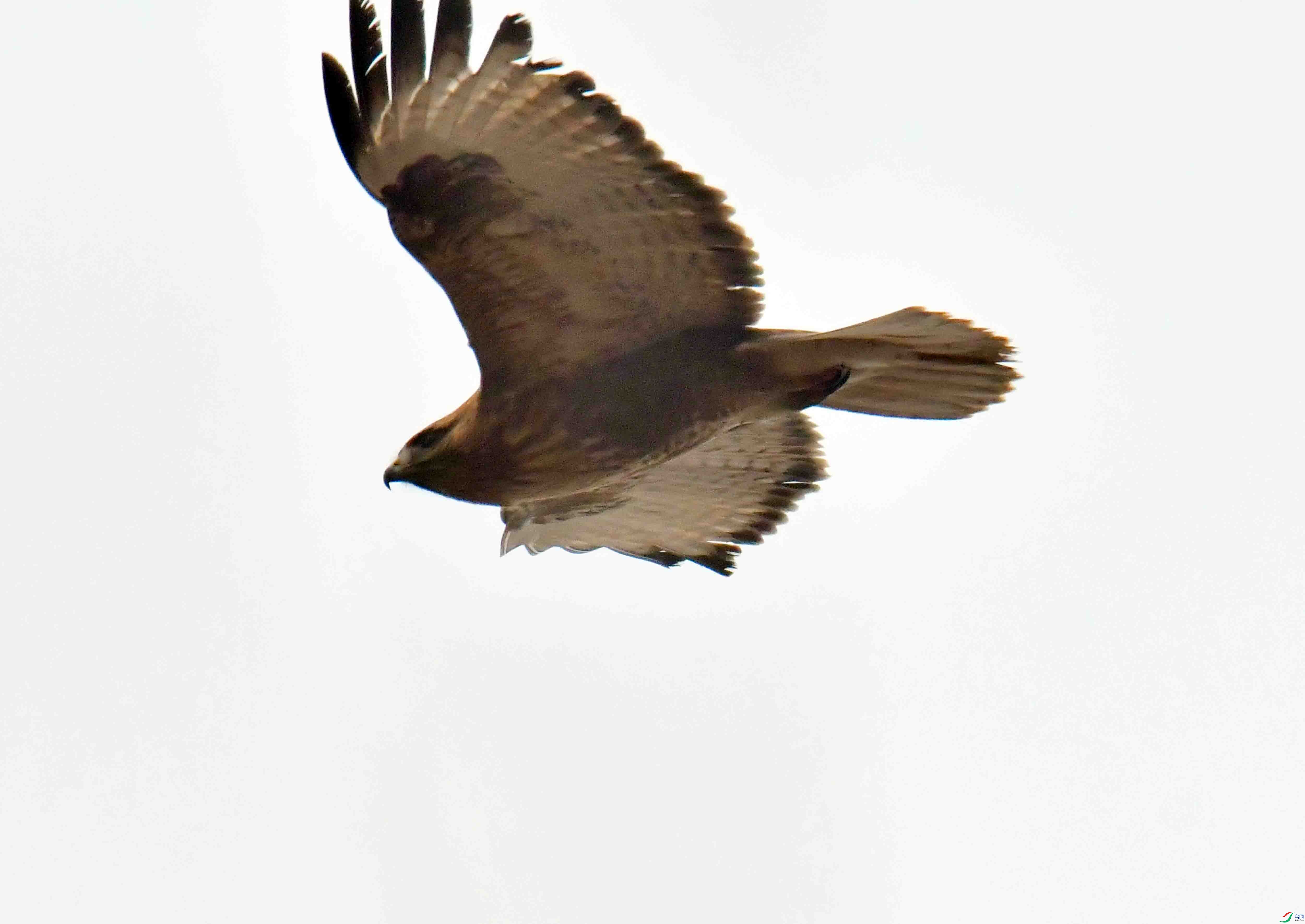 DSC_1641.JPG