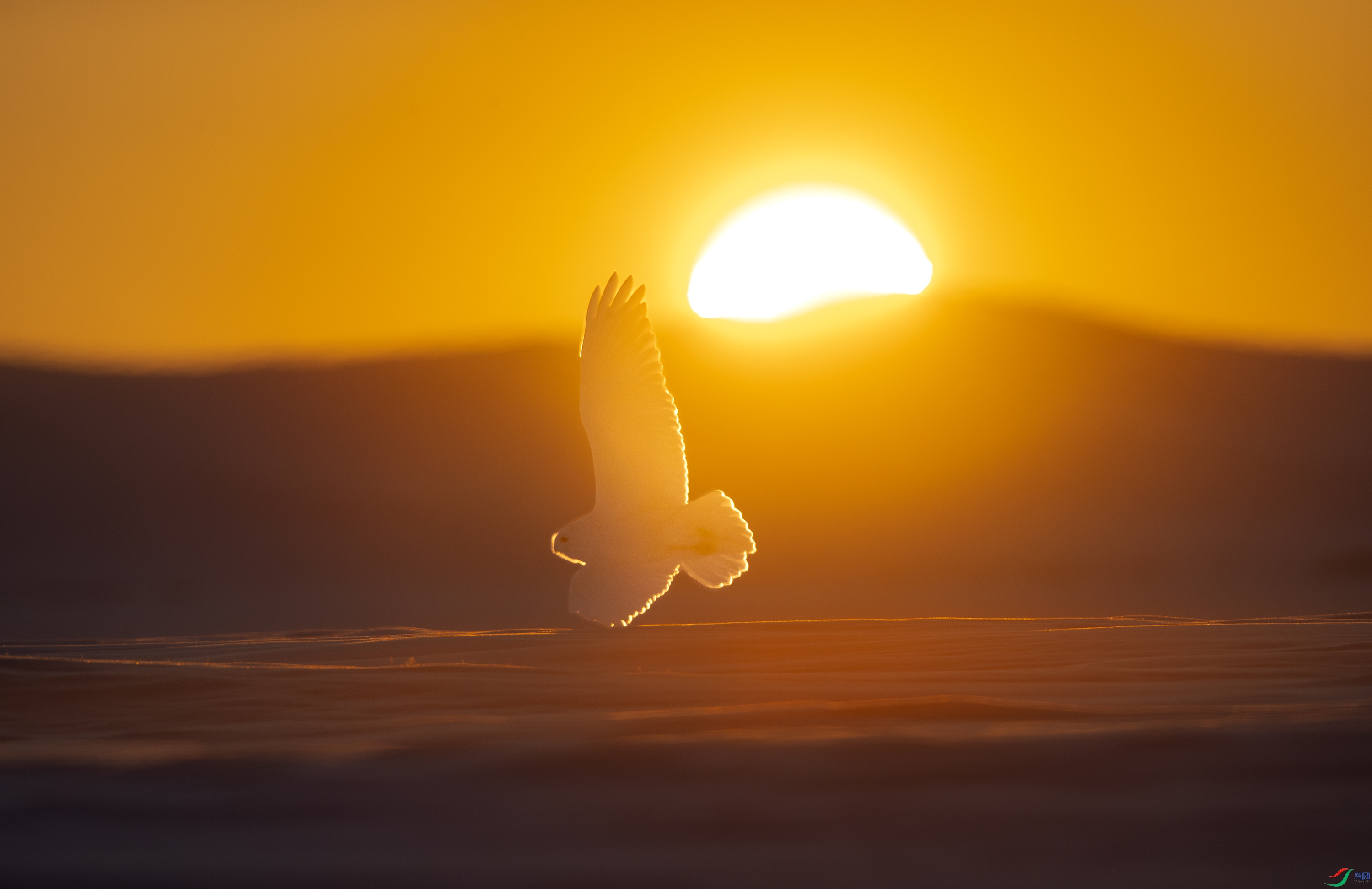 A15I7282 ����.jpg