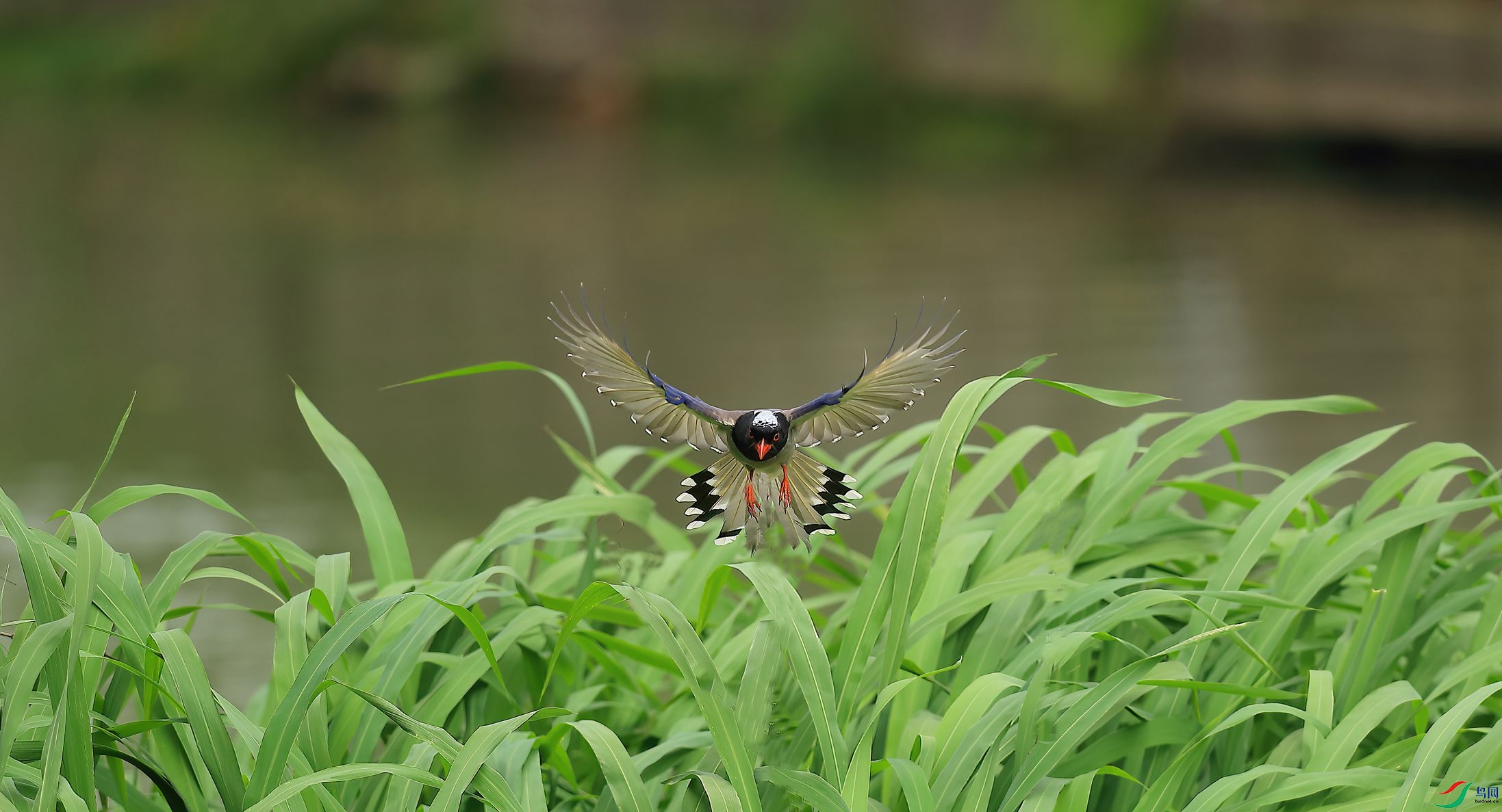 B43I6900-SharpenAI-Motion.jpg