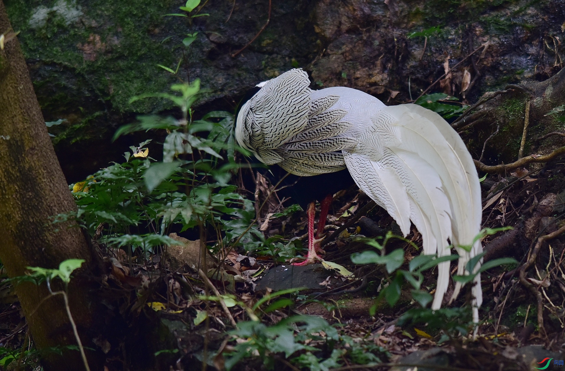 D8I_3352.jpg