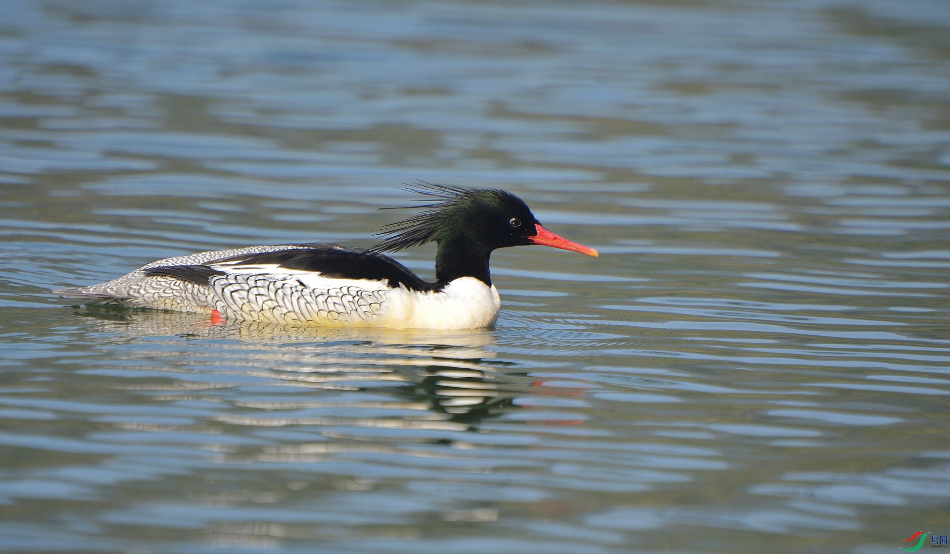 1DS_7080.jpg