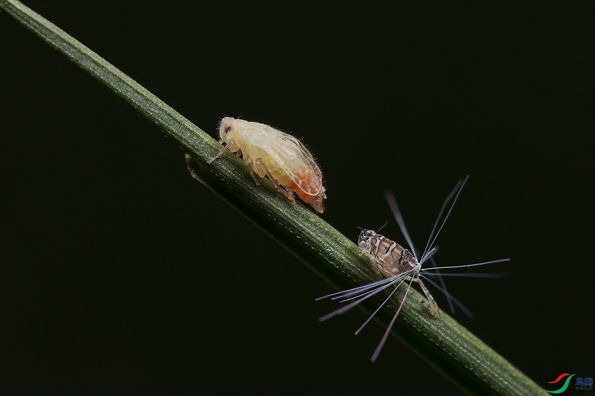 DSC_9900--.jpg