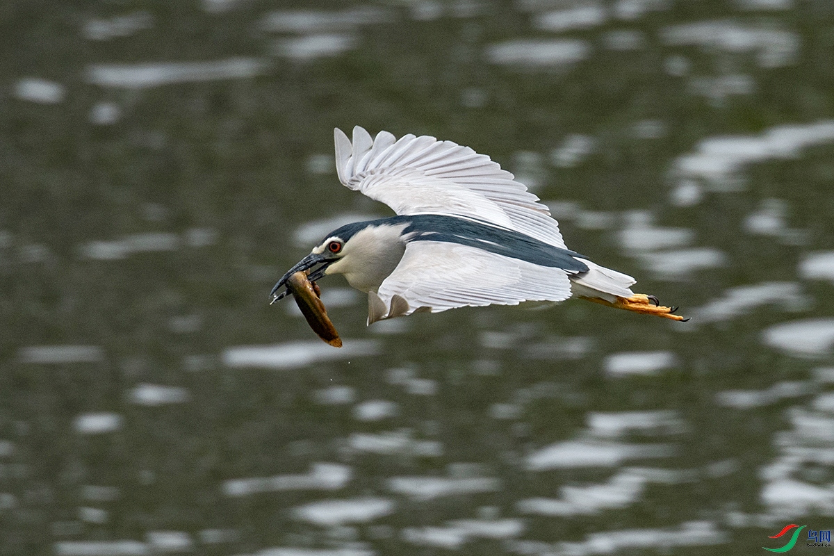 _DSC6040-.jpg