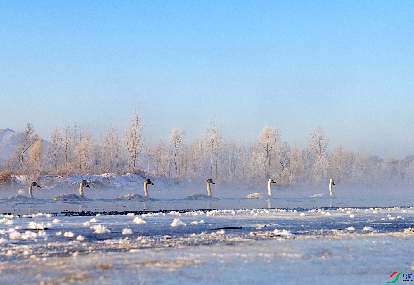 DSC_7459.jpg