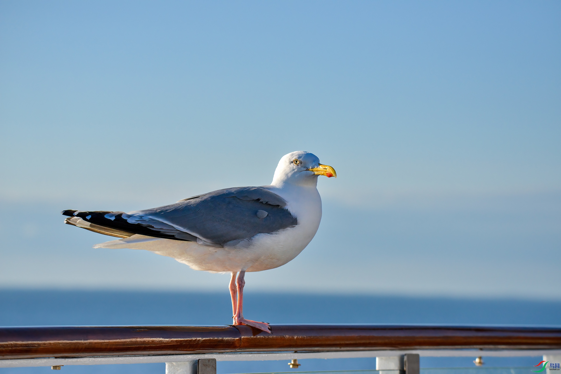 DSC_7220��Ÿ.jpg