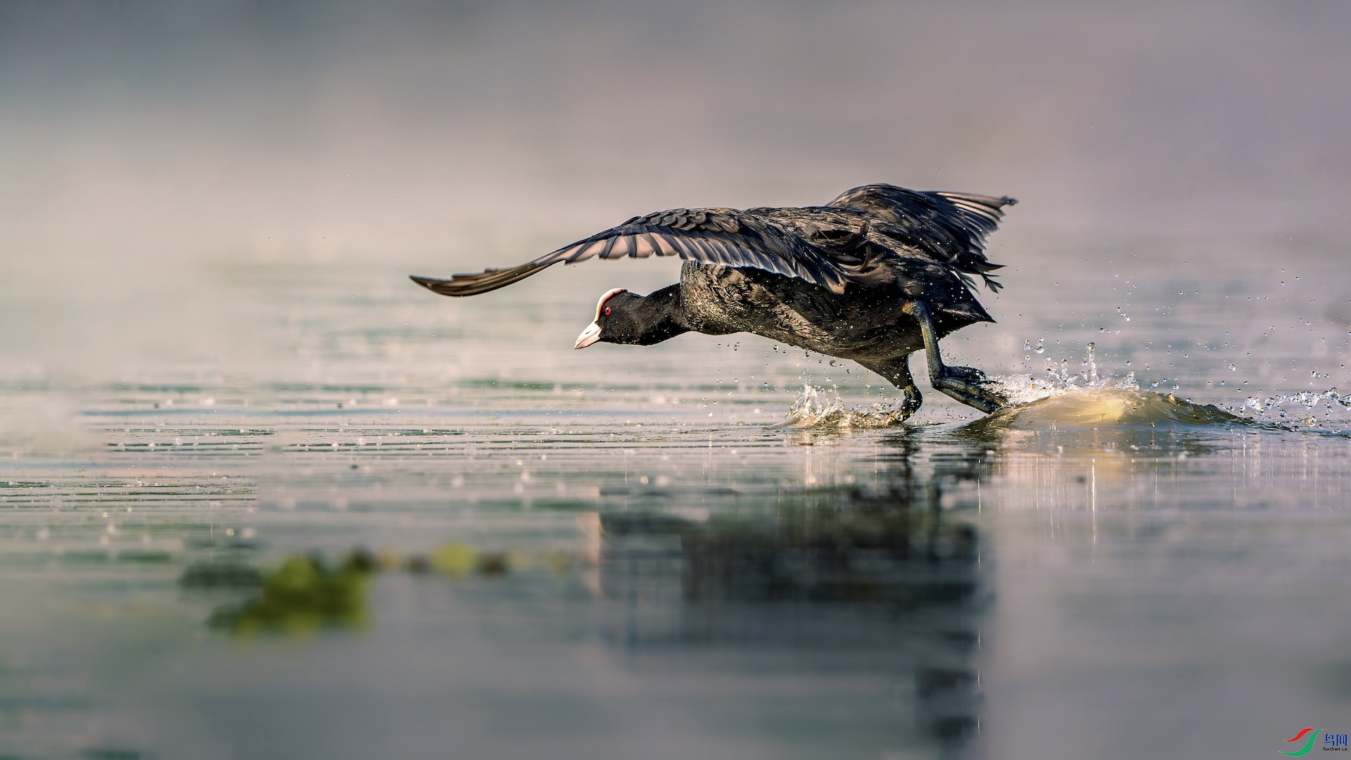 2_XXL6045-����ǿ-NR ����.jpeg